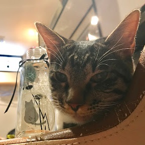 船橋市高根公団よりワークショップのお知らせです。