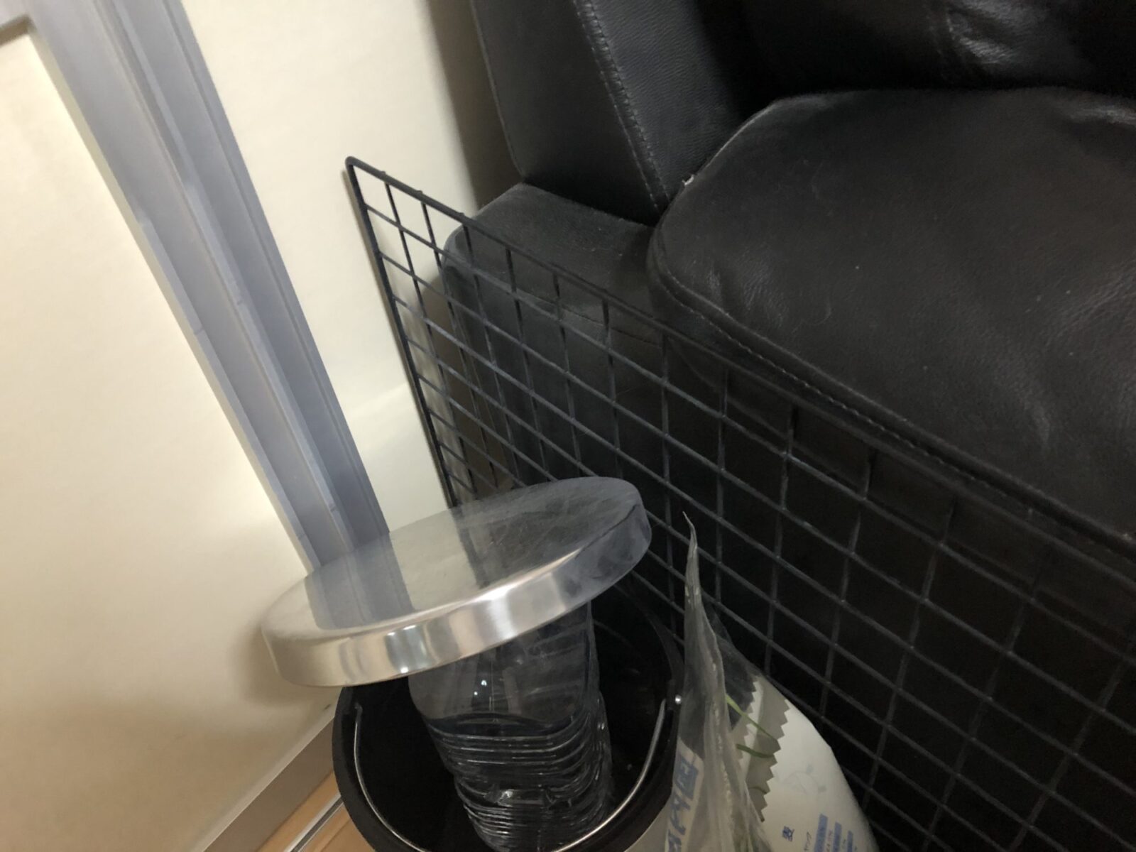 船橋市のみるくちゃん今回は日向ぼっこで今日も元気♪