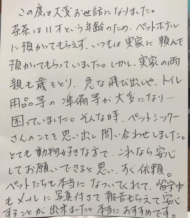 ペットシッター　吹田市　猫の茶茶ちゃんとギガちゃんのご家族様