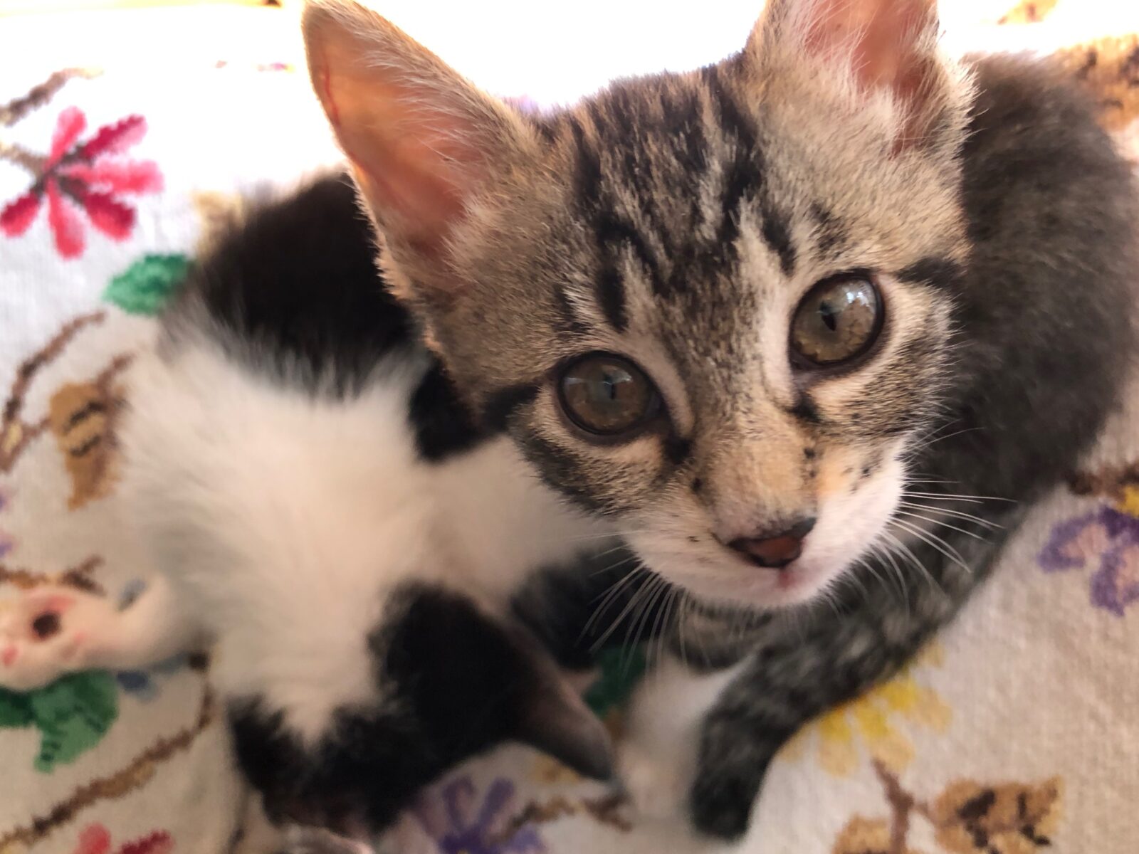 刺繍入りマスク <Near>