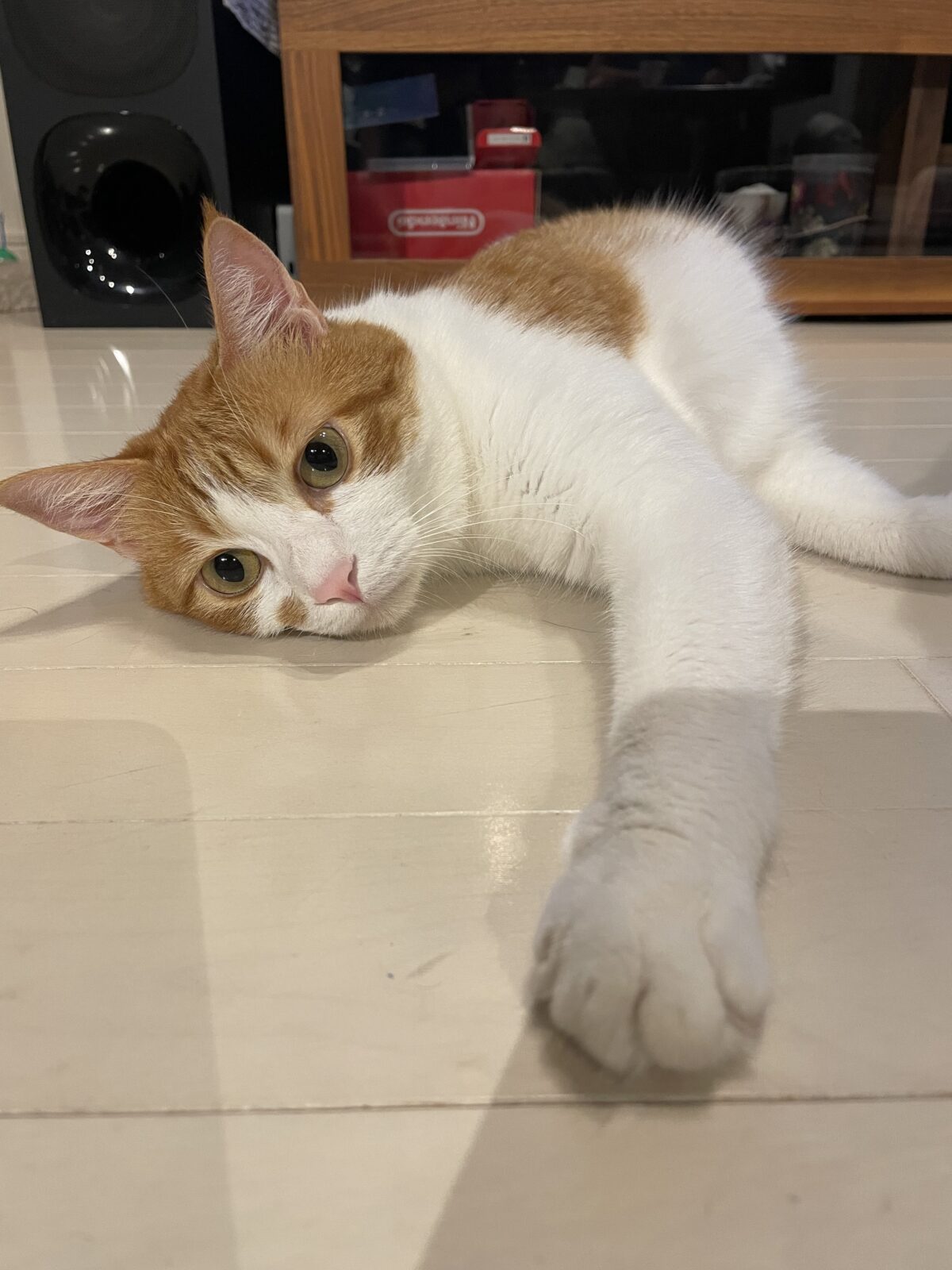 8/10〜8/16の予約状況(7/21現在)