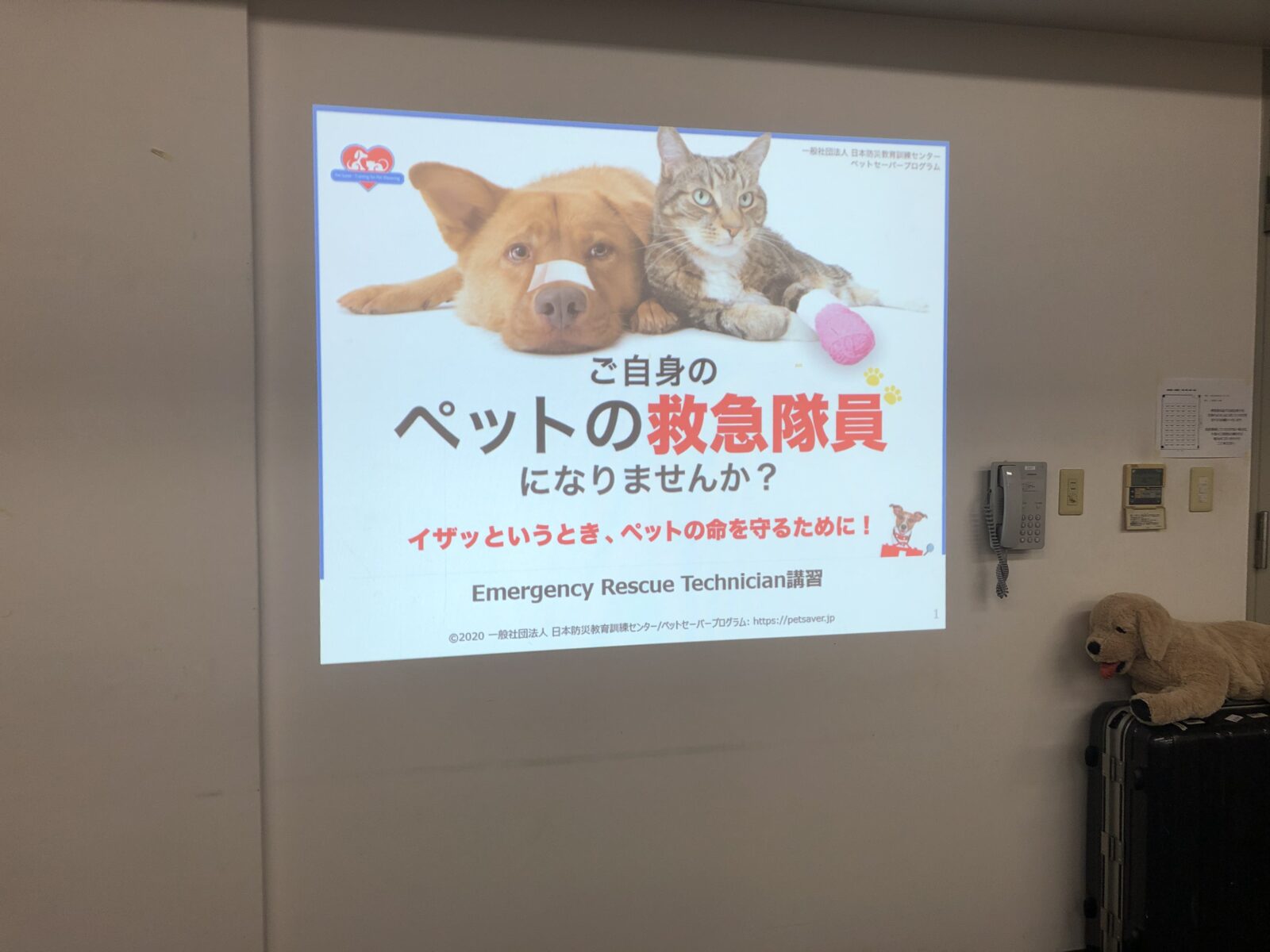 ペットセーバー講習に行ってきました