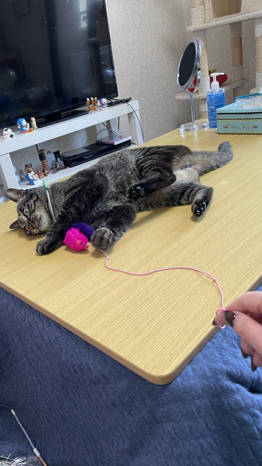 🐱厳しめのお迎え💦