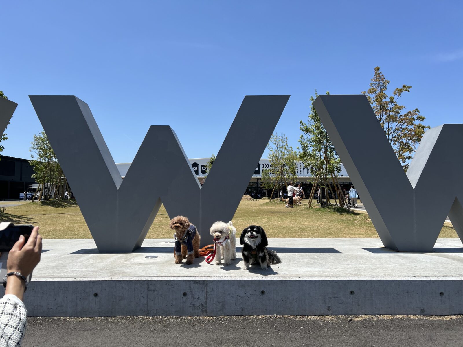 お出かけ情報　in岸和田　WHATAWON（ワタワン）