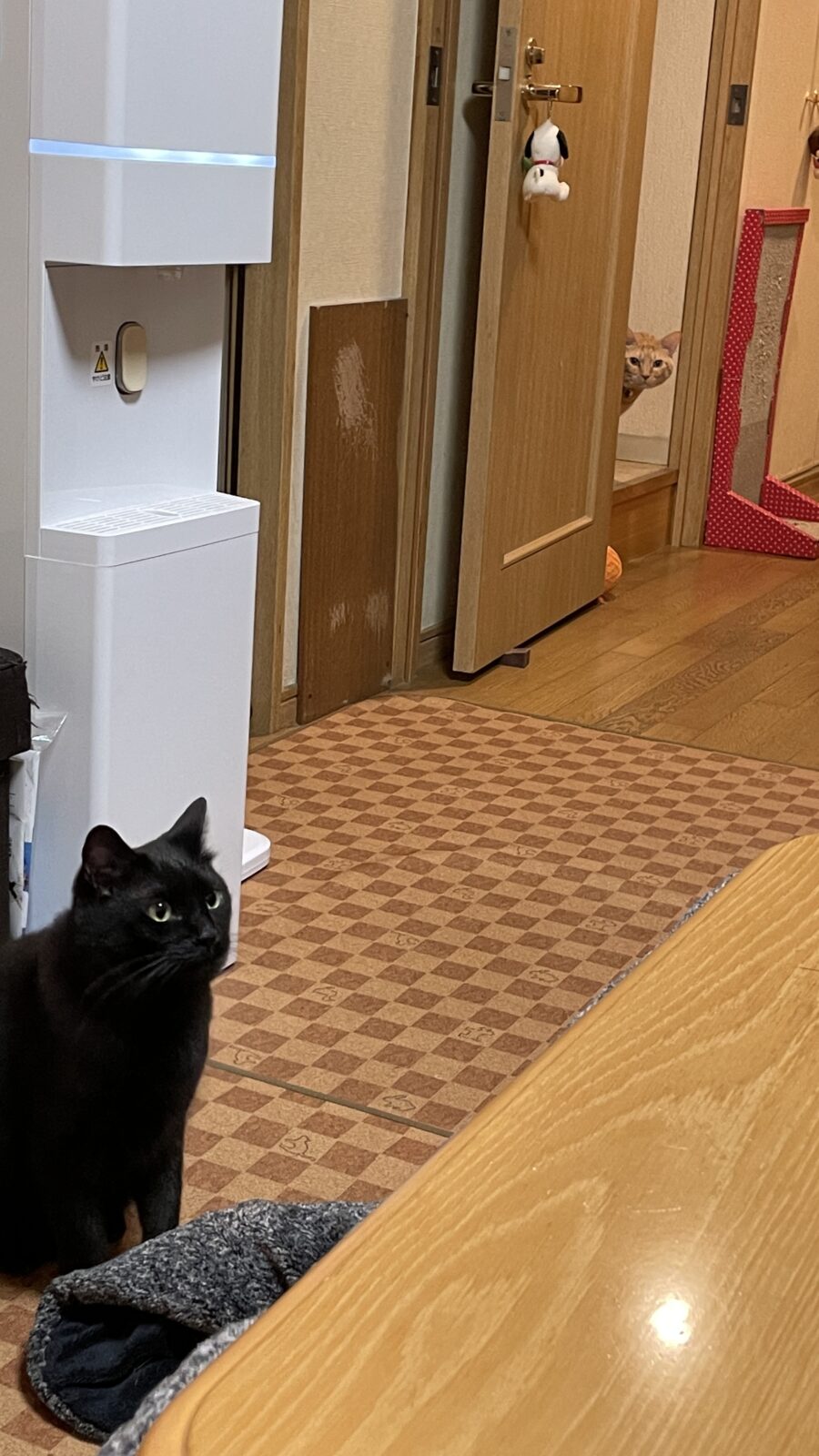 😼少しだけ‥☺️💕