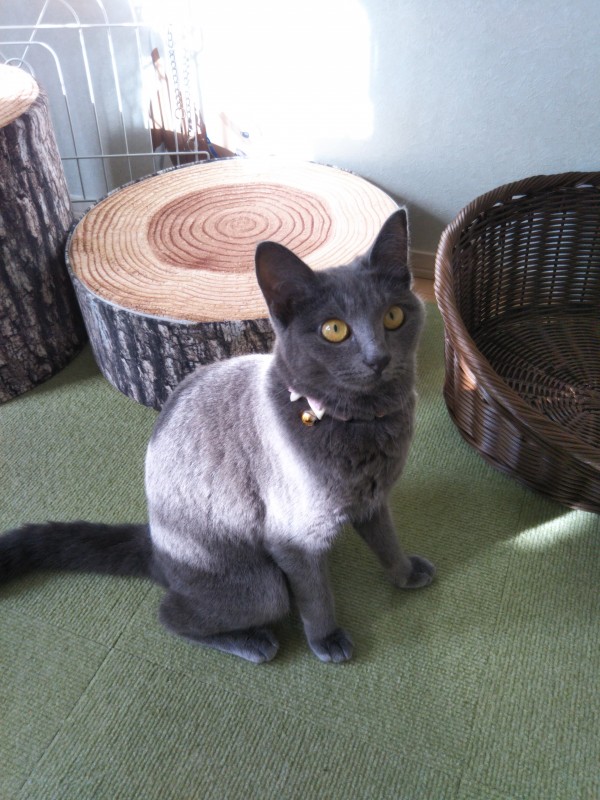 大物のララちゃん☆