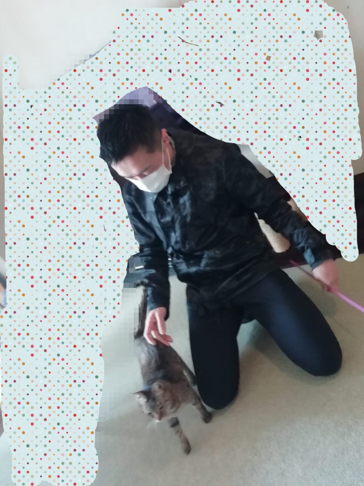 中野区 にゃんこ4匹 初回訪問