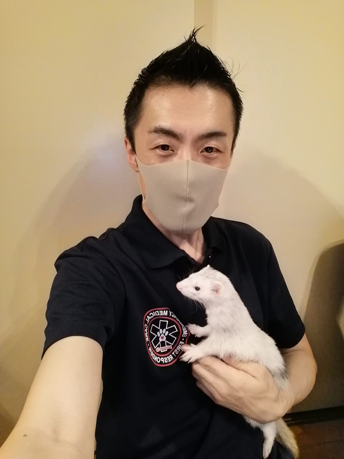 新宿区 リピーター様 フェレットちゃん お世話報告