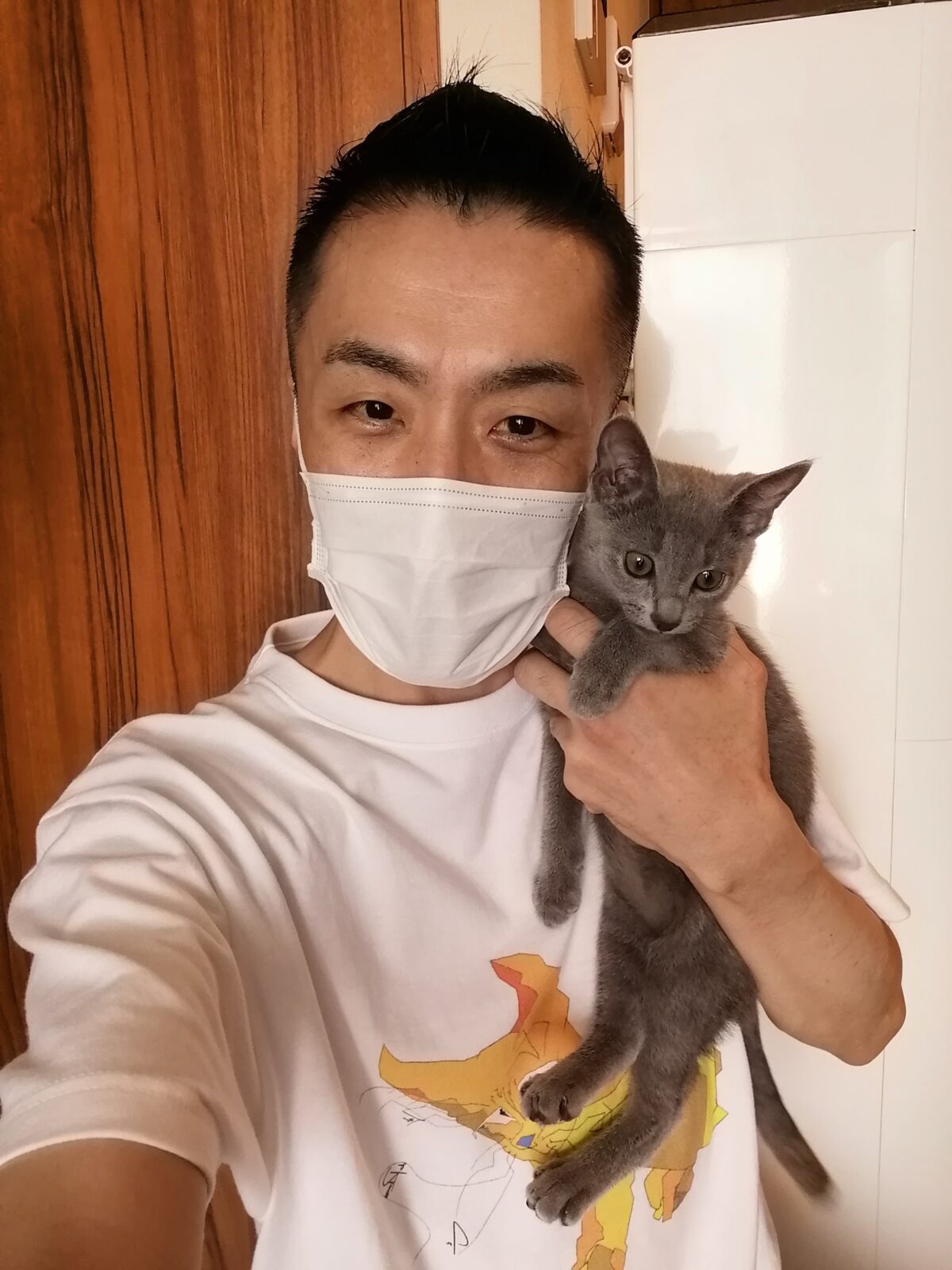 新宿区 リピーター様 ロシアンブルーちゃん お世話報告