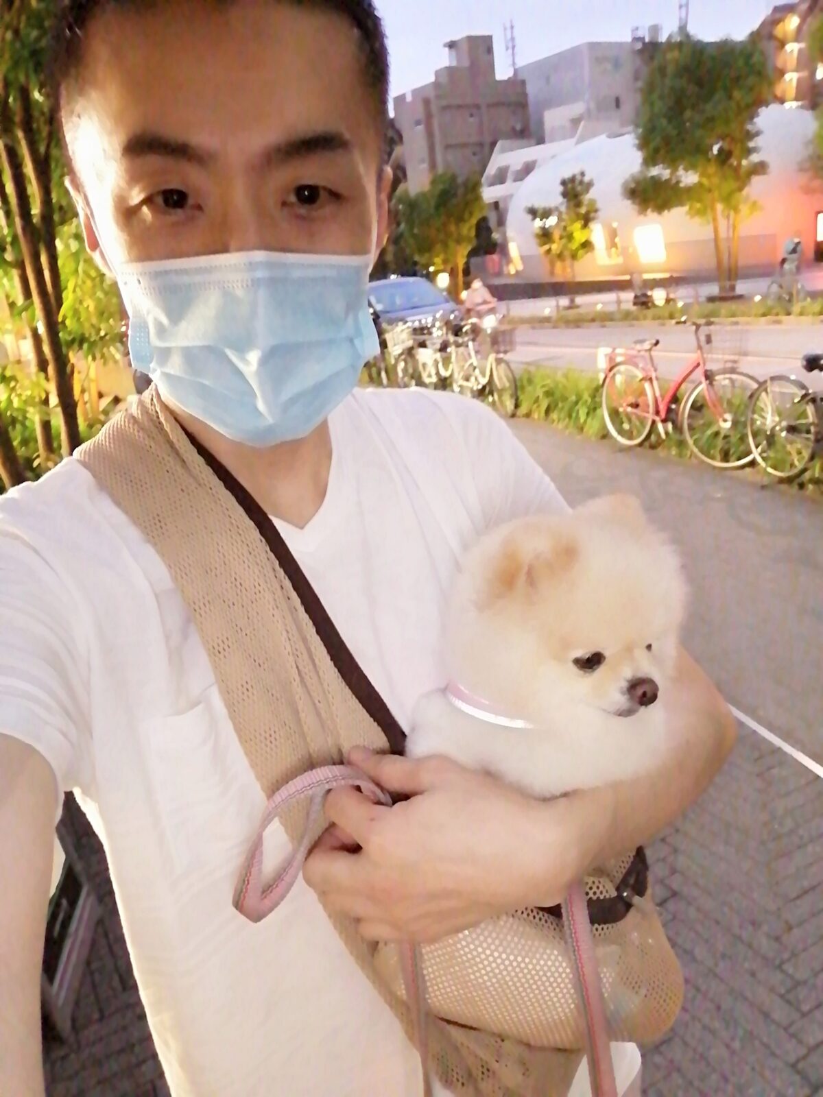 新宿区 ポメラニアンちゃん 初回訪問＆お世話報告