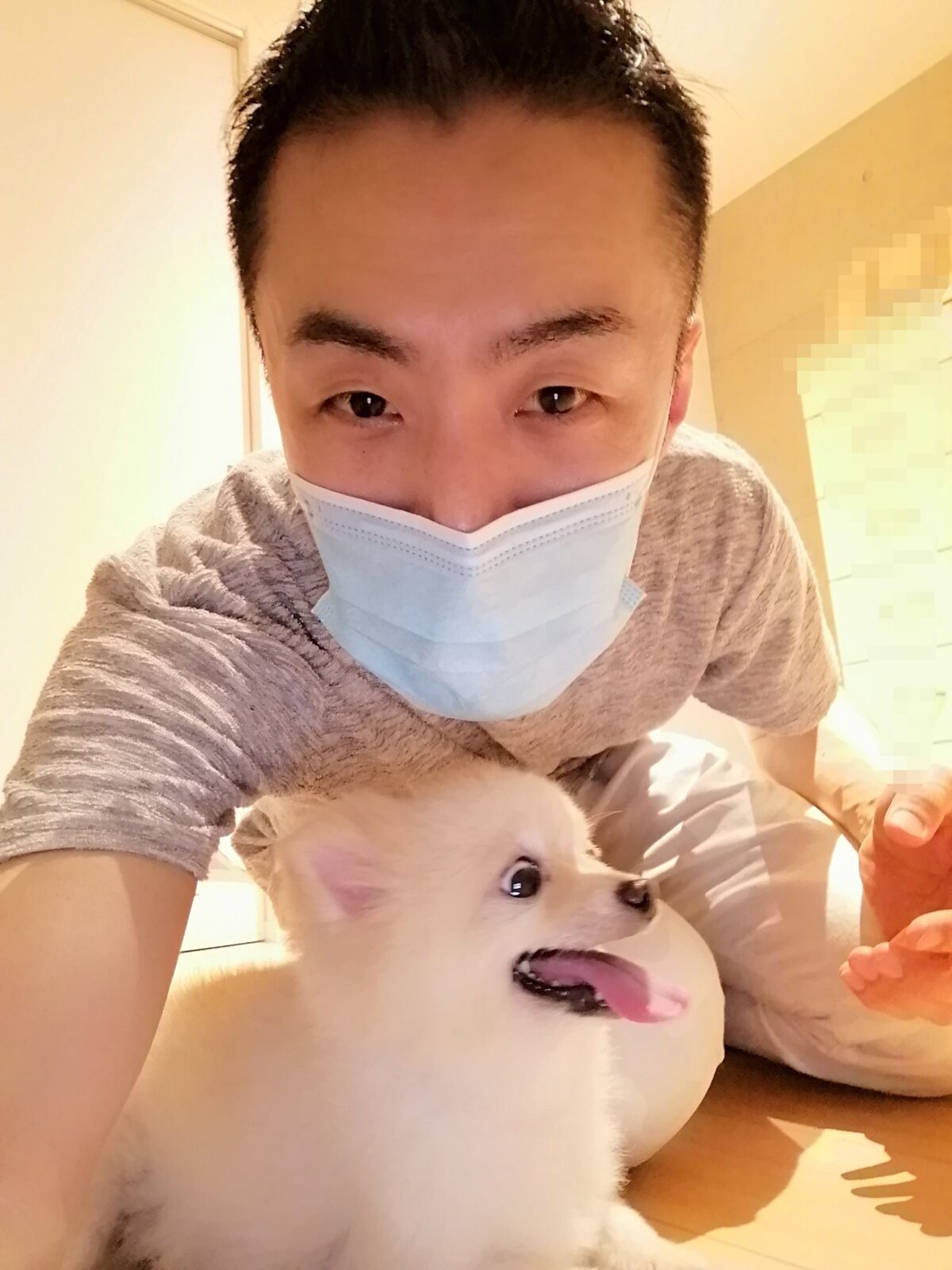 新宿区 ポメラニアンちゃん 初回訪問＆お世話報告