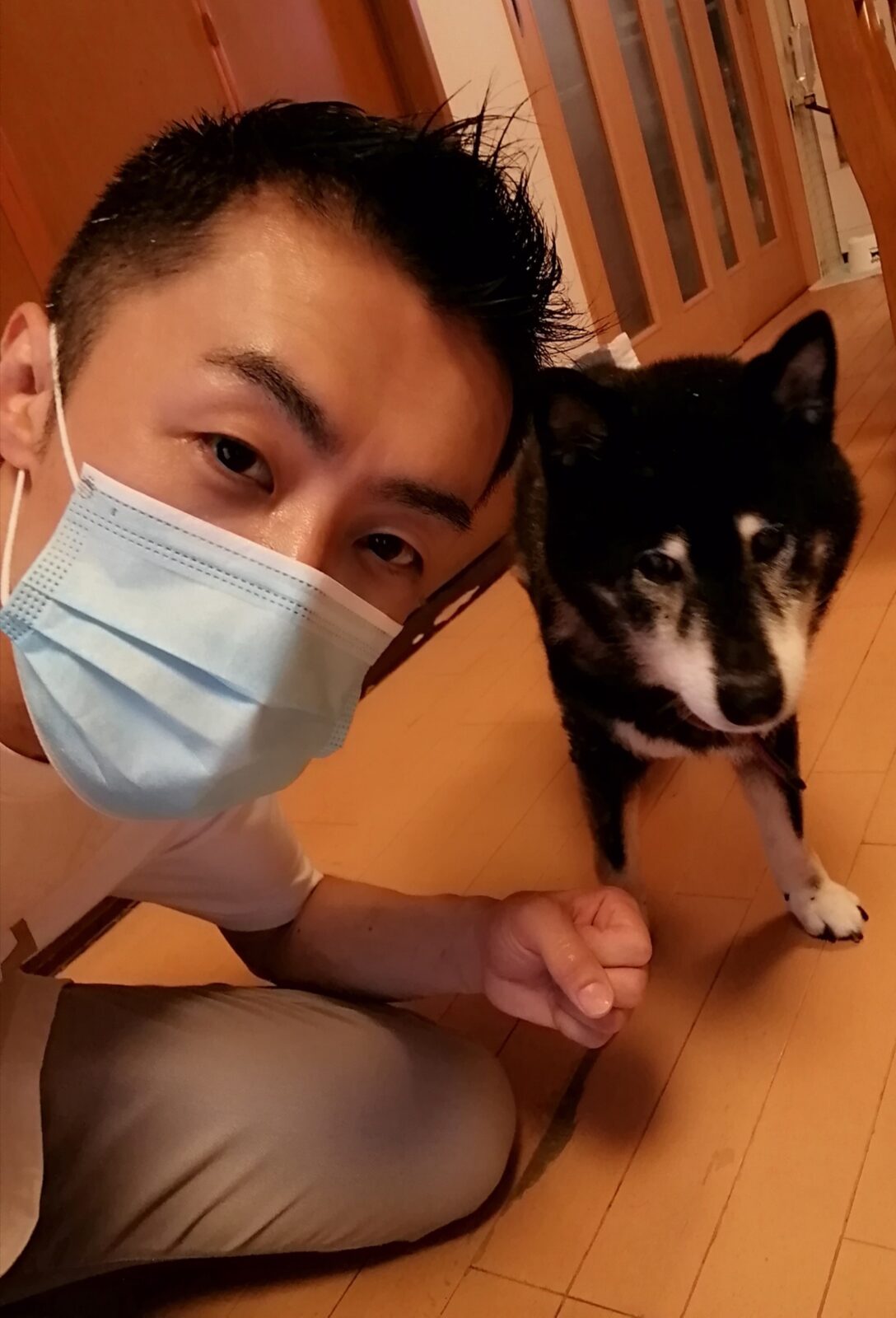 新宿区 黒柴くん 初回訪問＆お世話報告