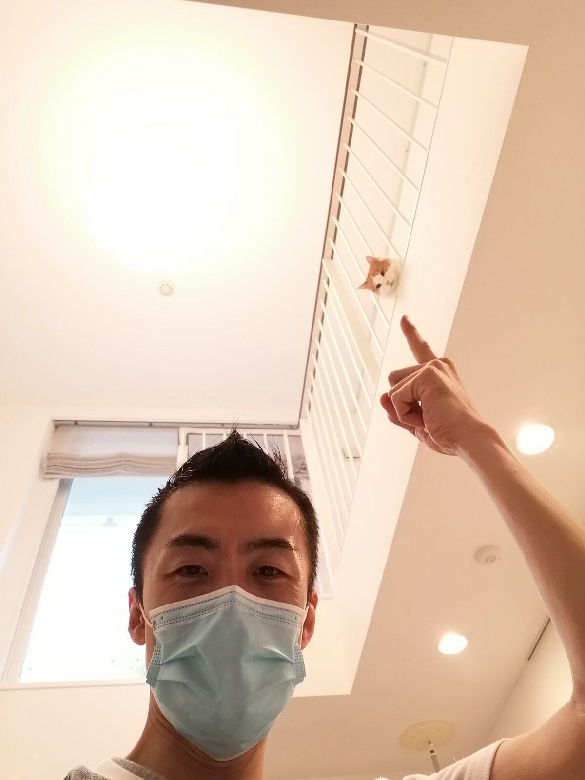 新宿区 2匹の猫ちゃん 初回訪問＆お世話報告