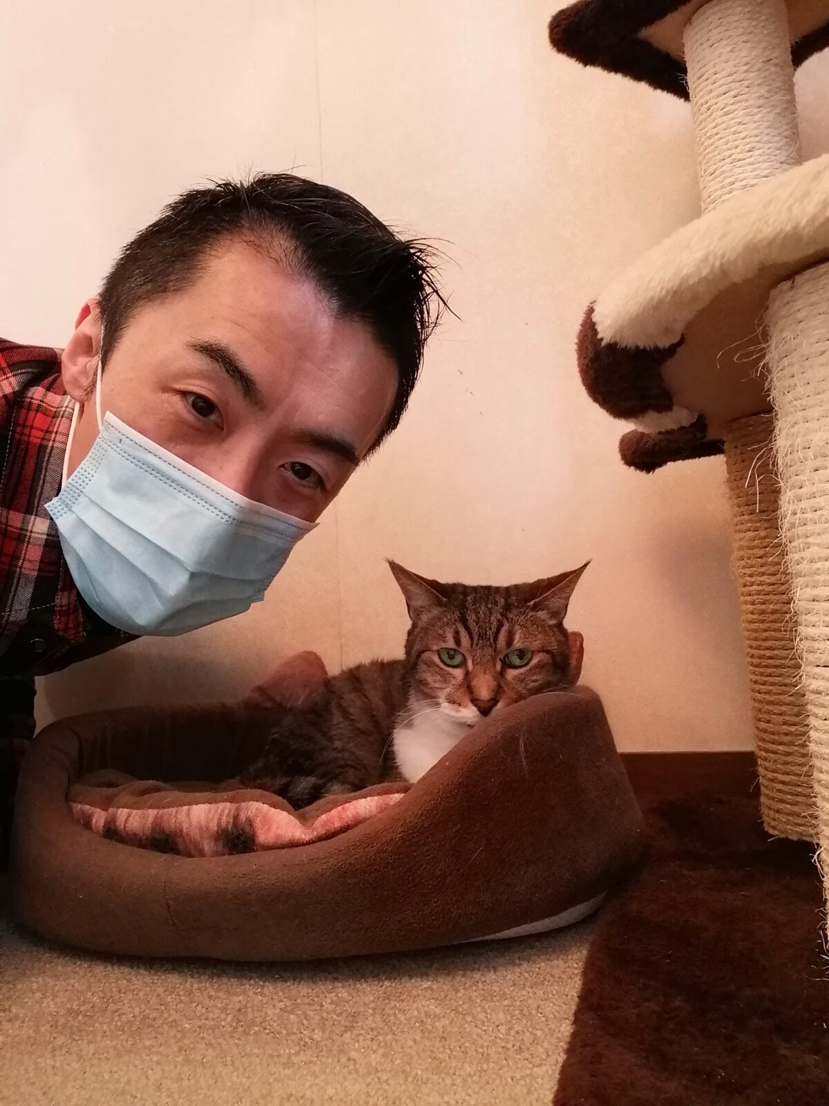 中野区 リピーター様 4匹ニャンちゃん お世話報告