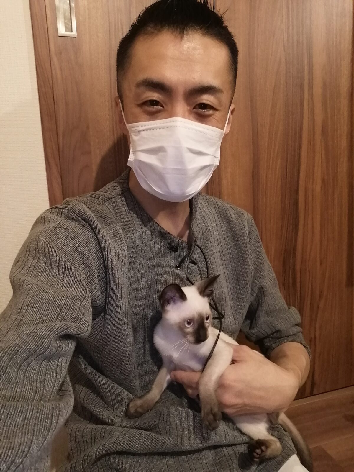 新宿区 リピーター様 2ニャンズ お世話報告