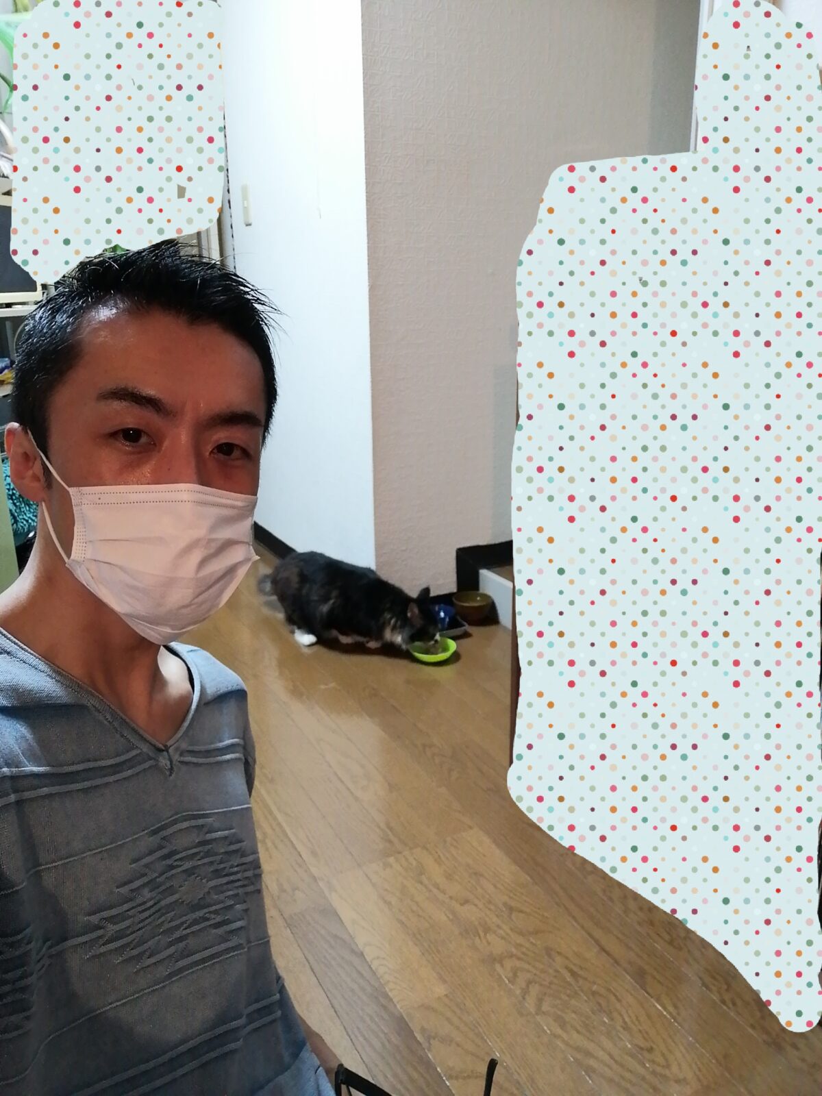 新宿区 リピーター様 モフモフニャンコくん お世話報告