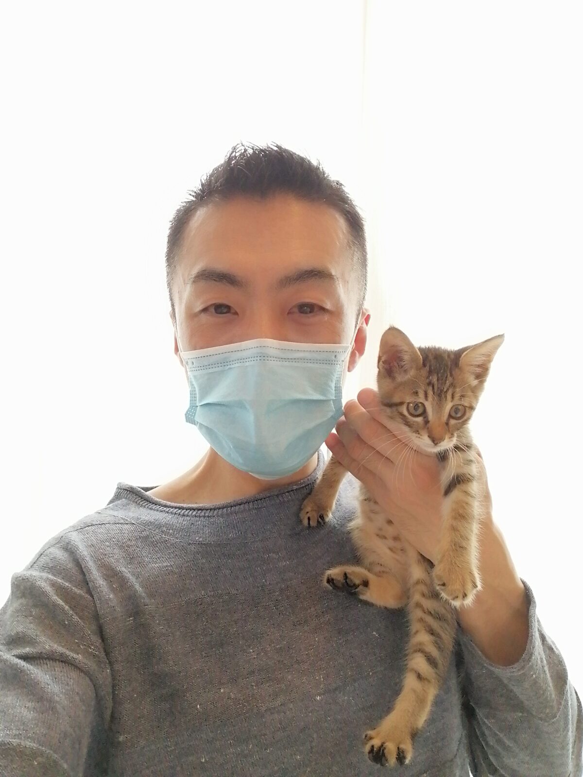 杉並区 初回訪問&2匹の子猫ちゃん お世話報告