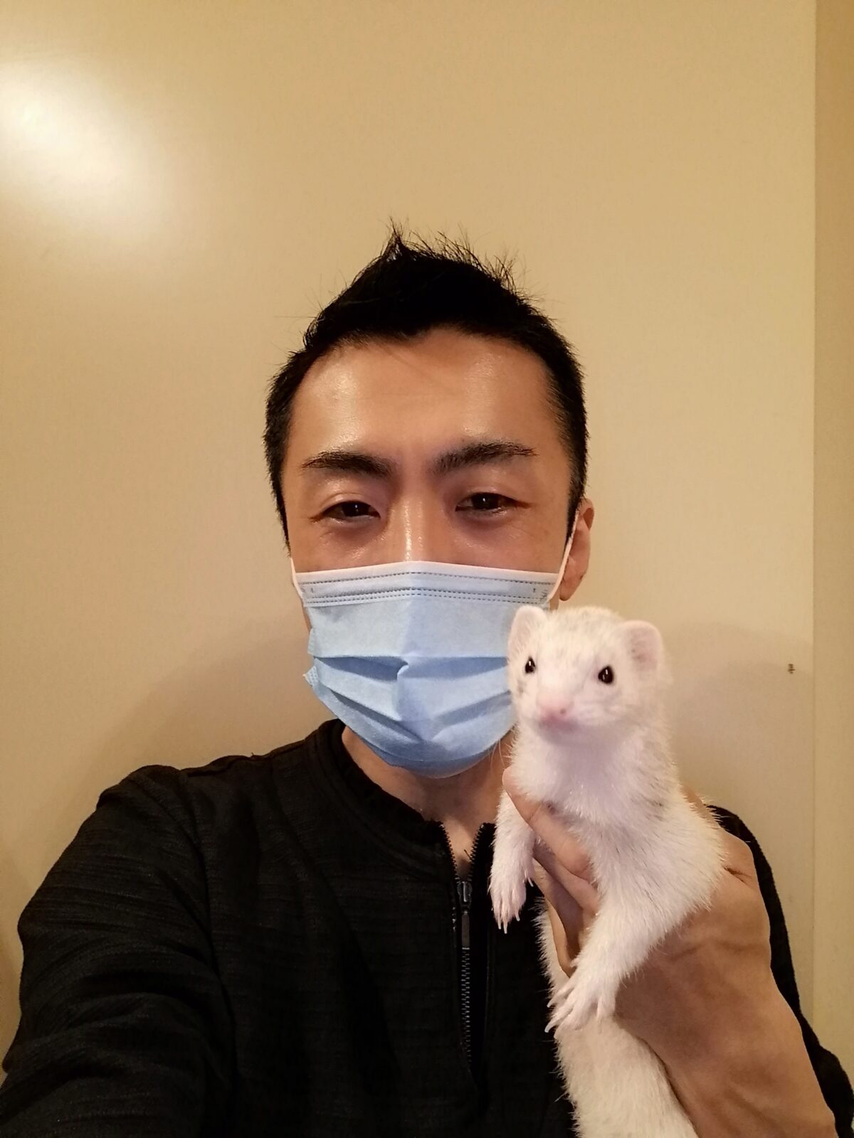 新宿区 リピーター様 フェレットちゃん お世話報告