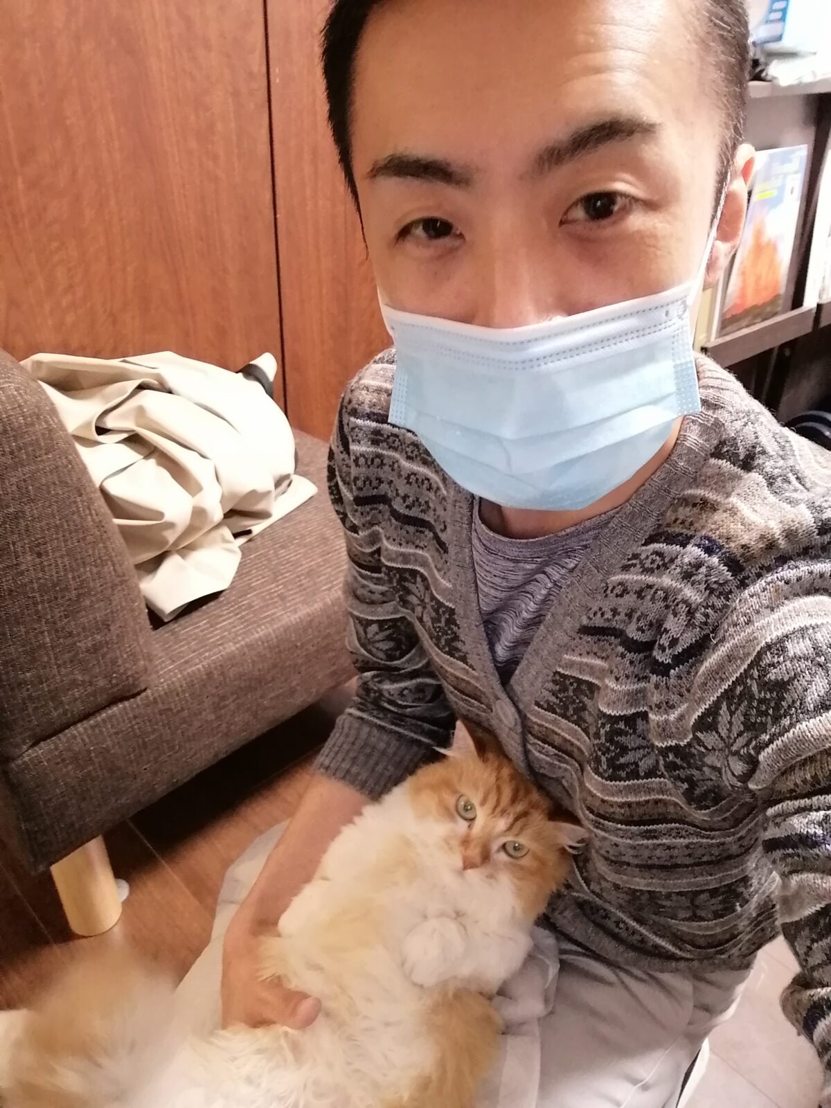 新宿区 下半身不随マンチカンちゃん介護 初回訪問&お世話報告