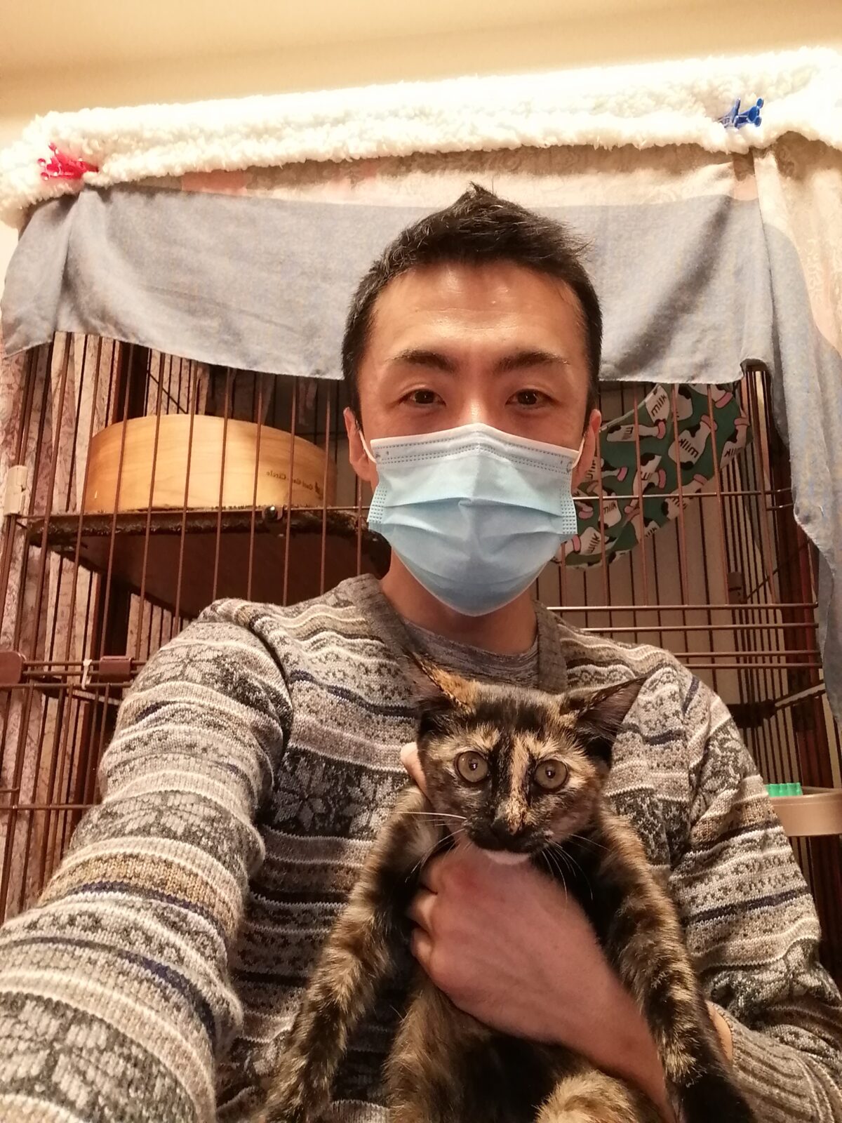 新宿区 初回訪問&保護ニャンコ お世話報告