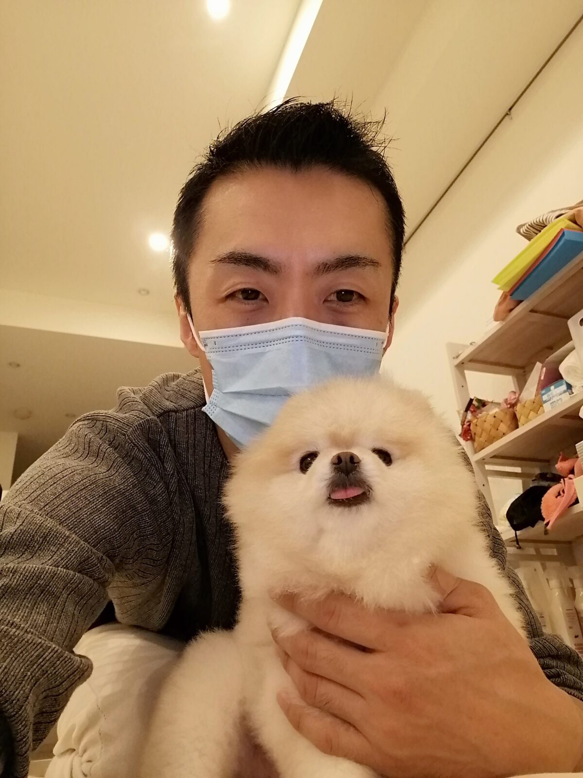 新宿区 お得意様 ポメラニアンくん お世話報告