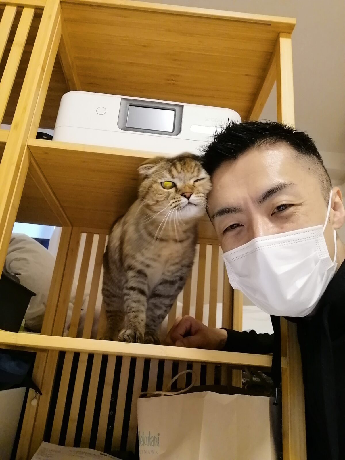 新宿区 足長マンチカンちゃん 初回訪問&お世話報告