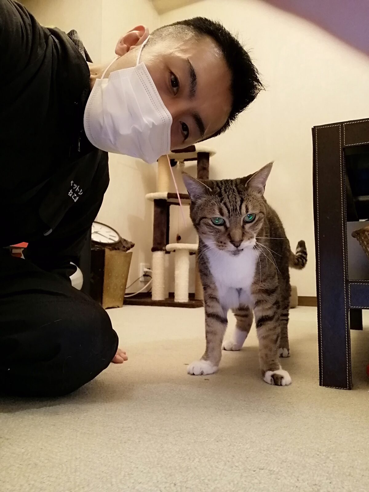 中野区 リピーター様 4匹ニャンちゃん 2日間お世話報告