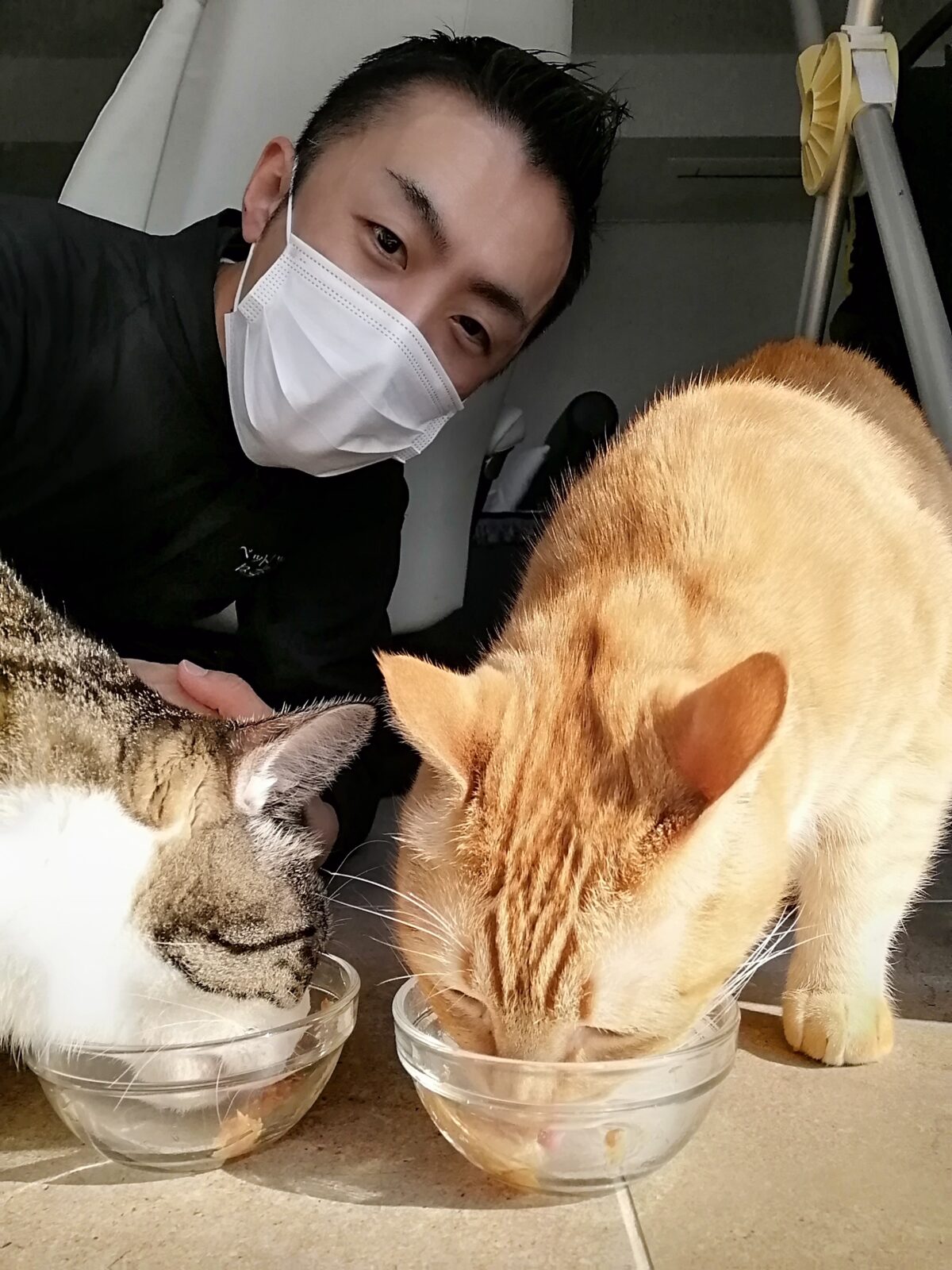 新宿区 仲良しニャンコくん 初回訪問&お世話報告