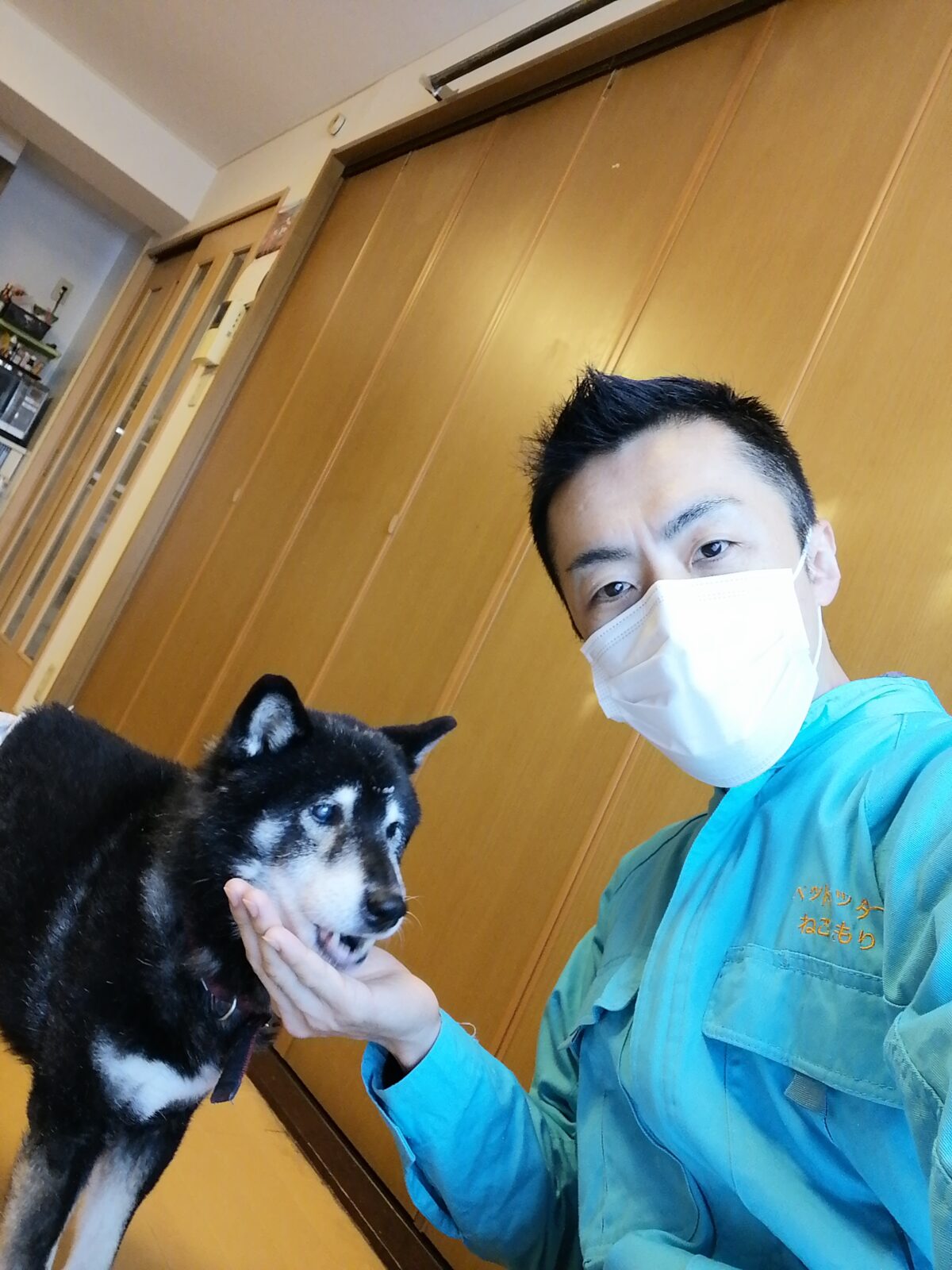 新宿区 リピーター様 黒柴くん 介護犬のお世話報告