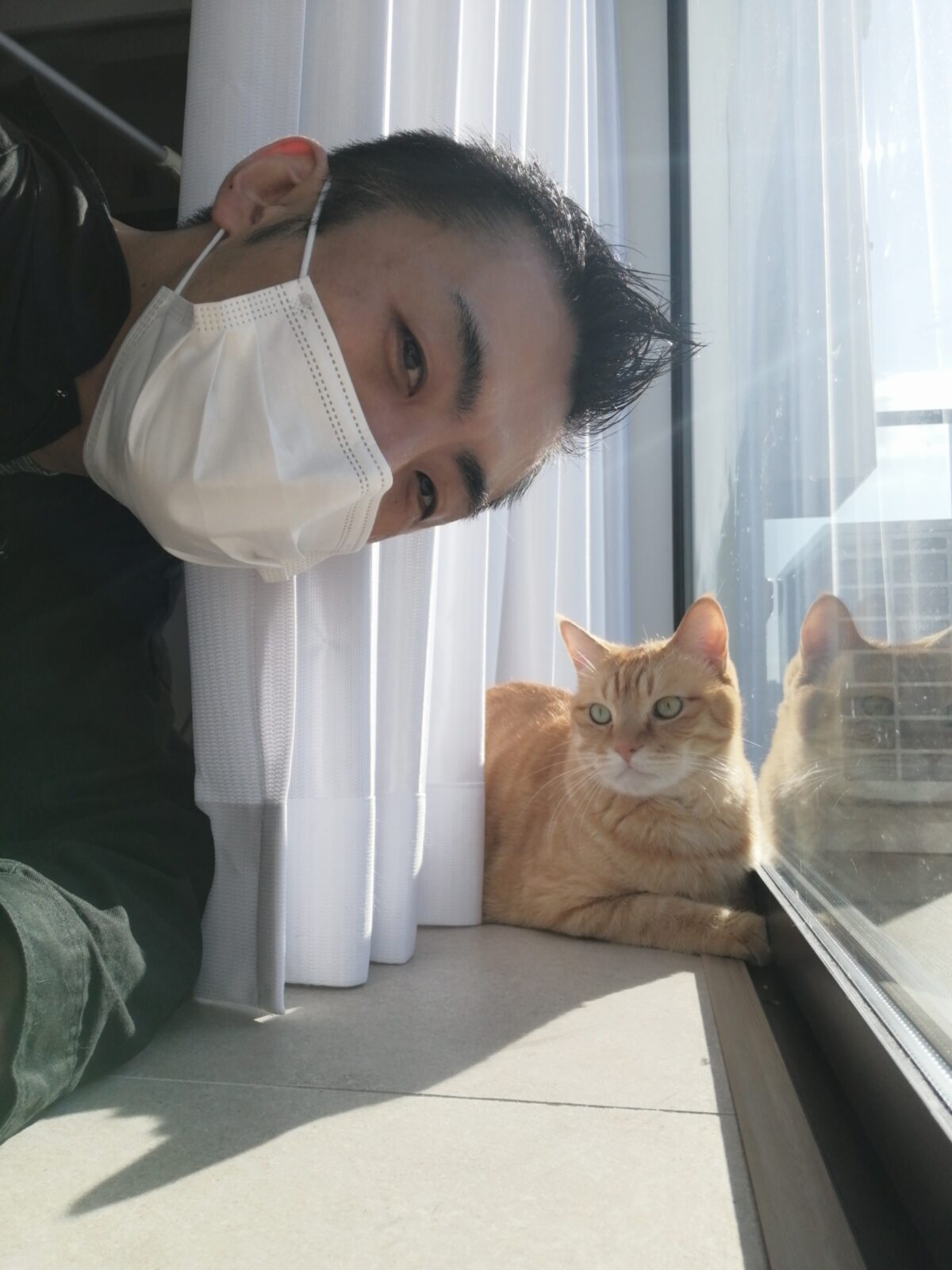 新宿区 リピーター様 兄弟ニャンくん お世話報告