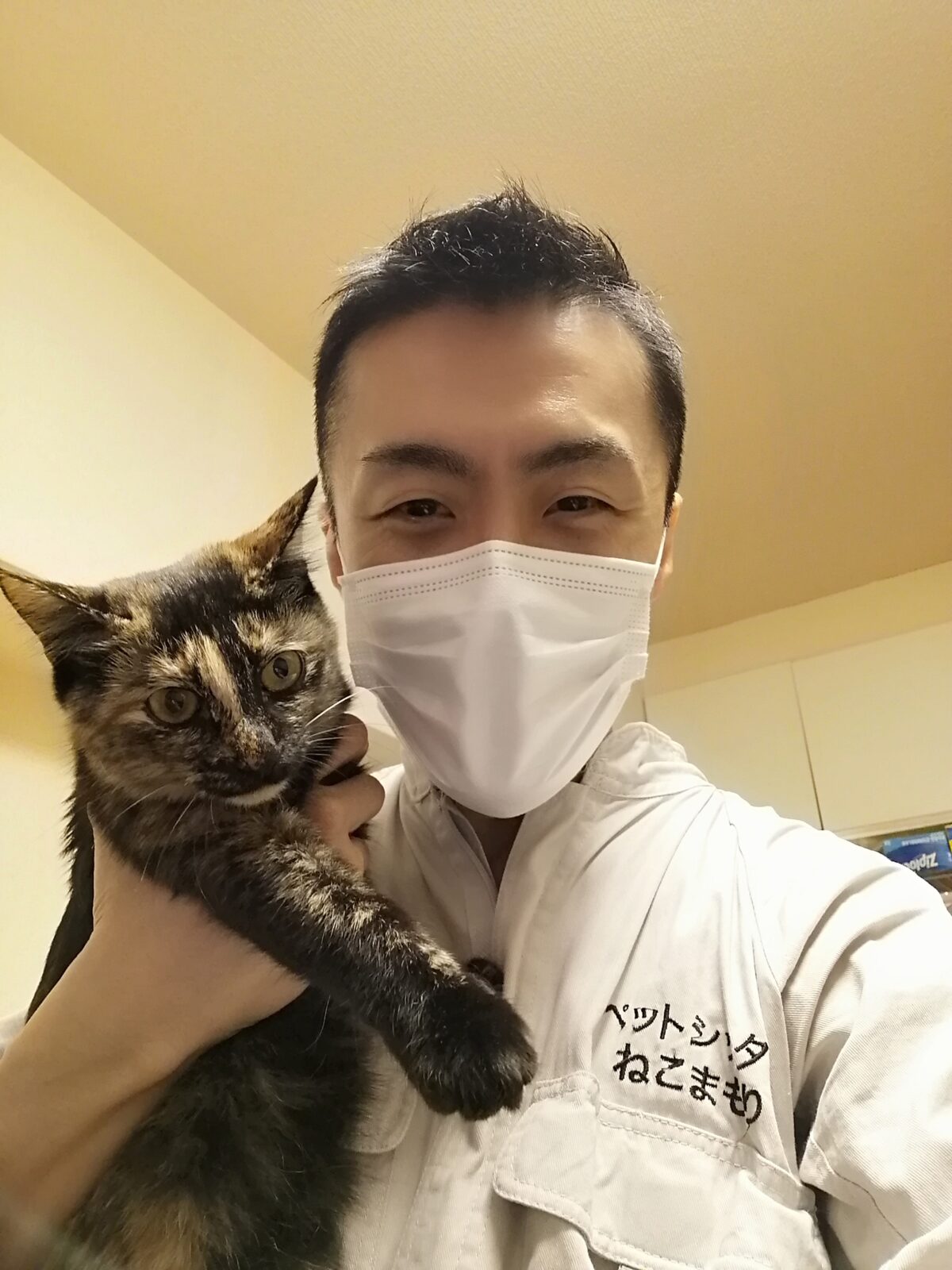 新宿区 リピーター様 サビ柄ニャンちゃん お世話報告