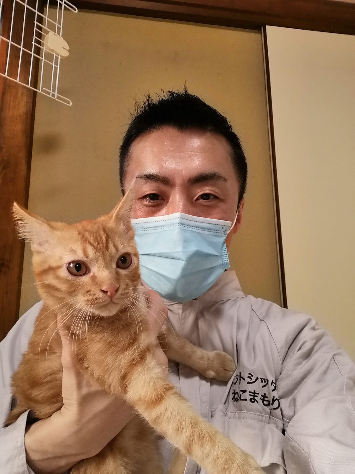 初回訪問 新宿区 猫ちゃんの爪切りのご依頼