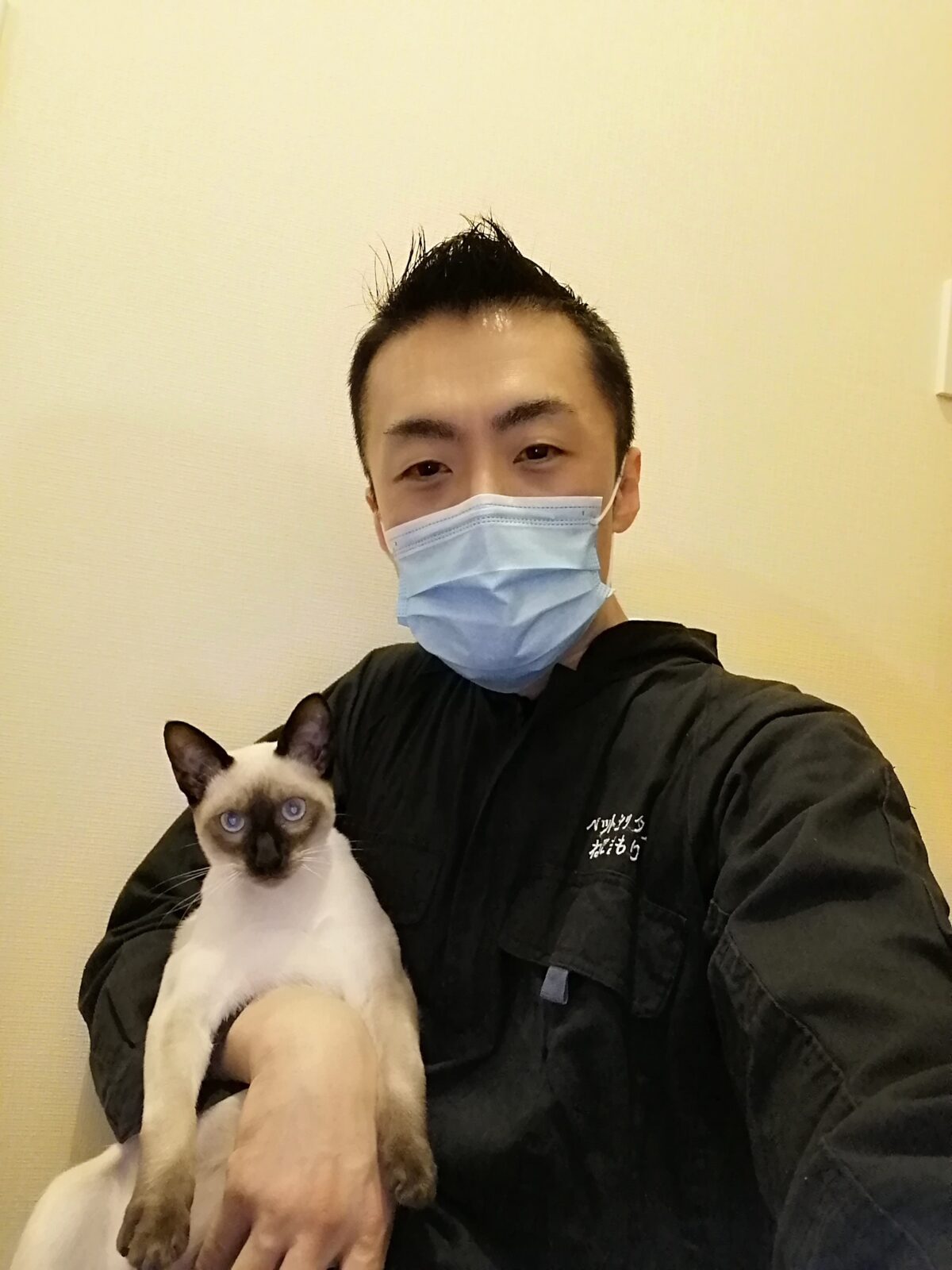 新宿区 リピーター様 ロシアンブルーちゃん&シャム猫くん お世話報告