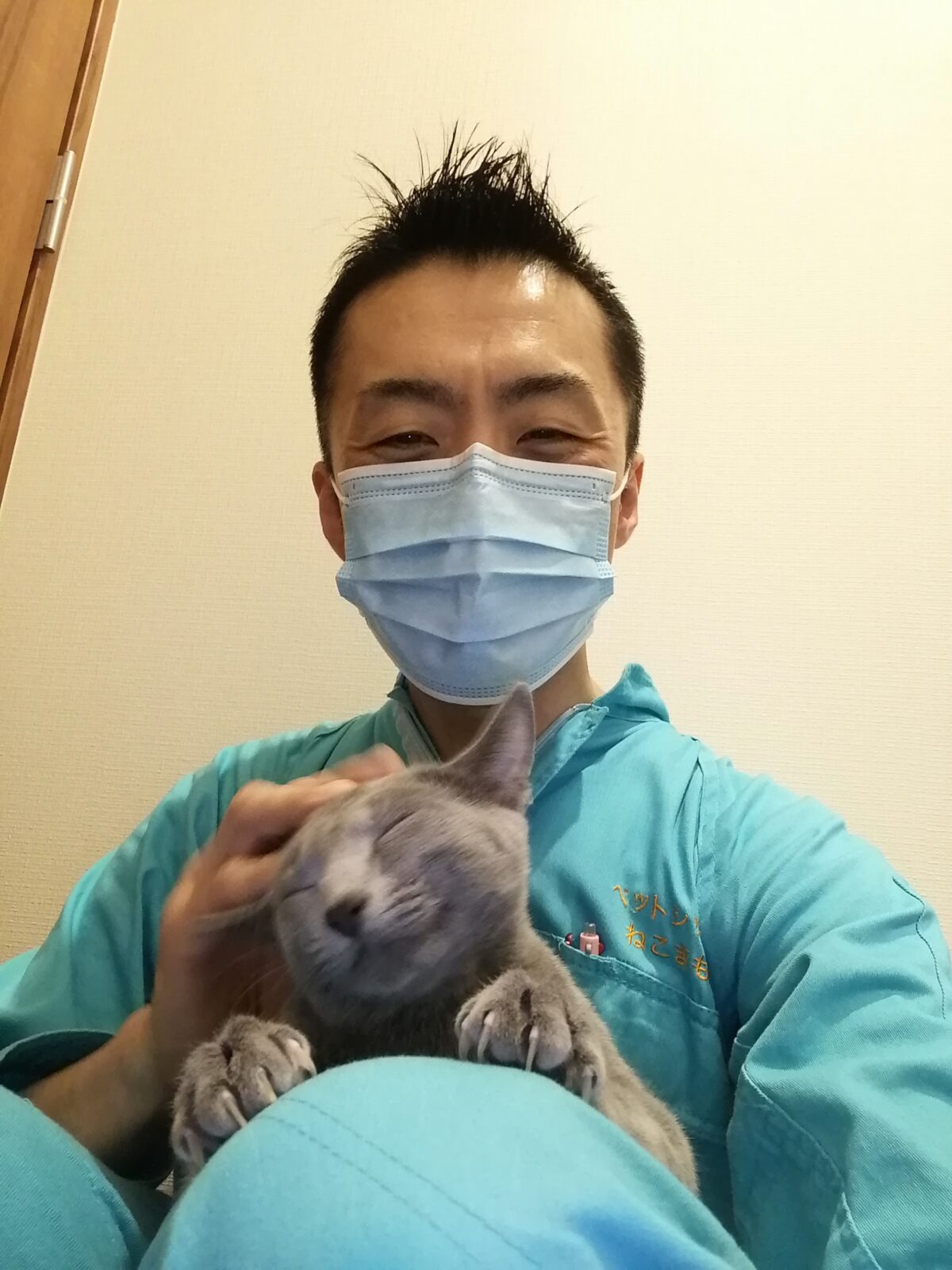 新宿区 リピーター様 ロシアンちゃん&シャムくん お世話報告