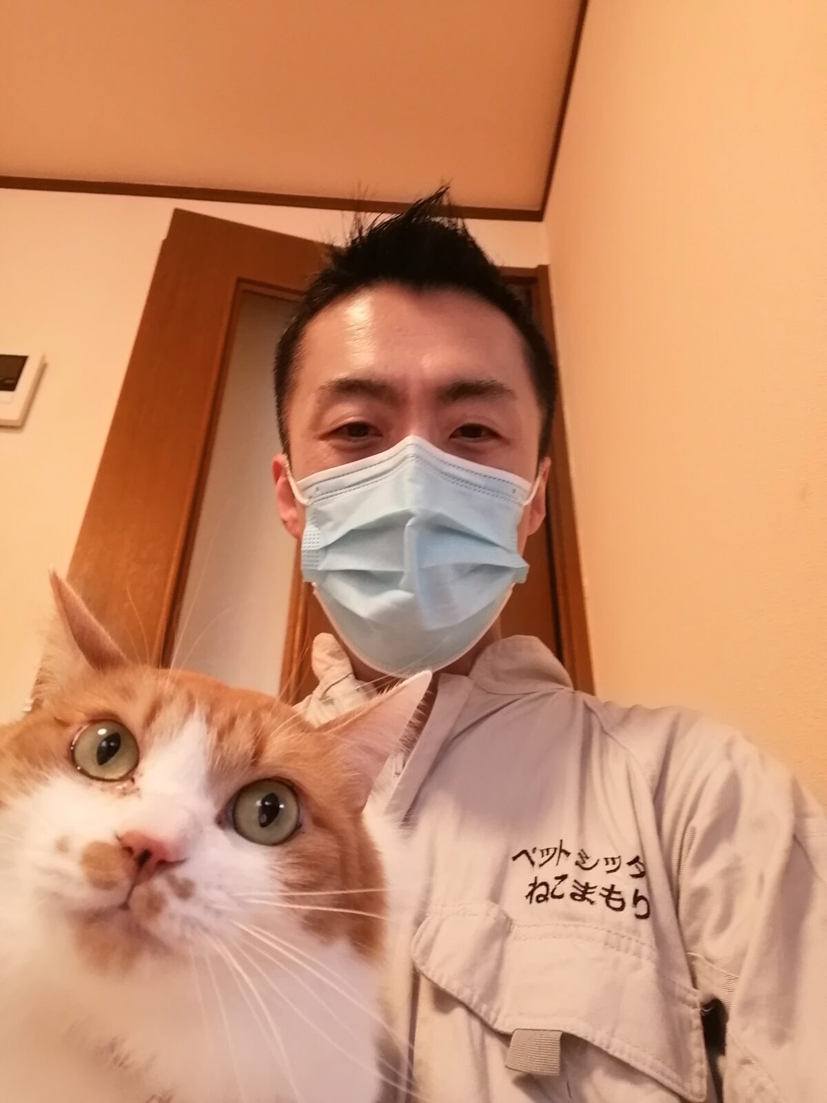 中野区 ご新規様 3ニャンズ お世話報告