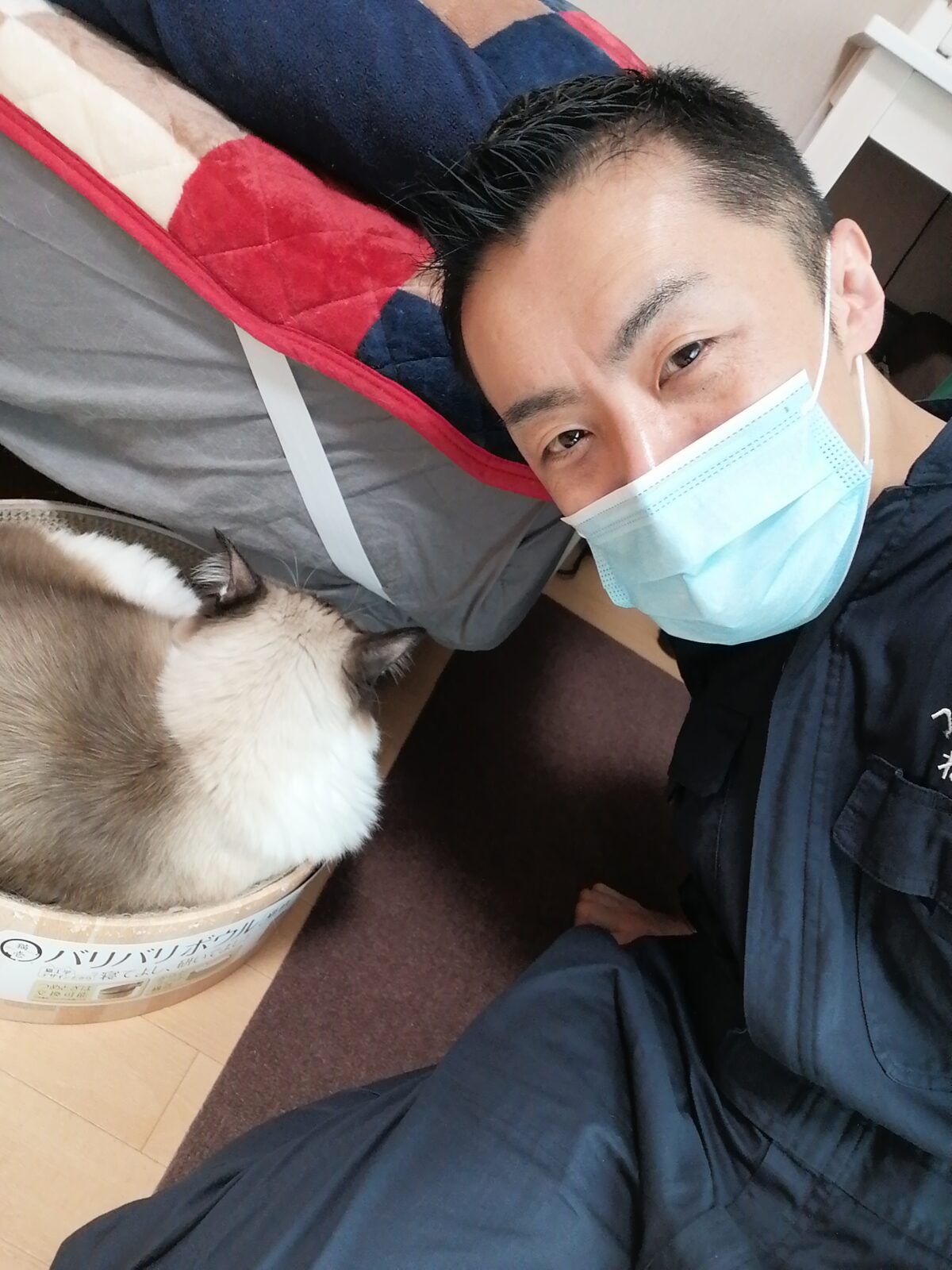 新宿区 ご新規様 ラグドールくん お世話報告