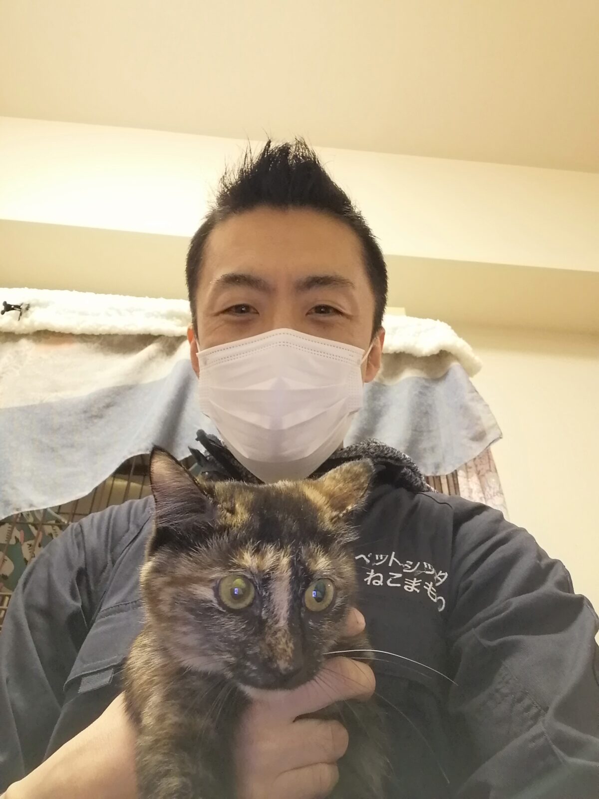 新宿区 お得意様 さび柄にゃんちゃん お世話報告