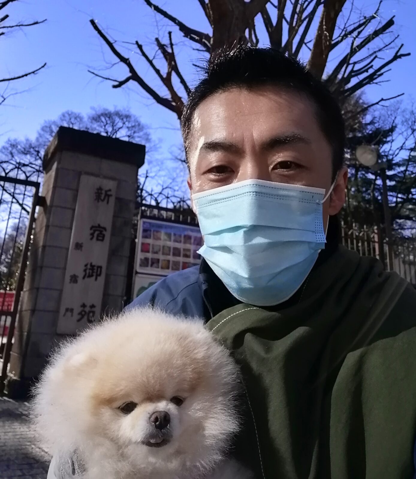 新宿区 お得意様 ポメちゃん お世話報告