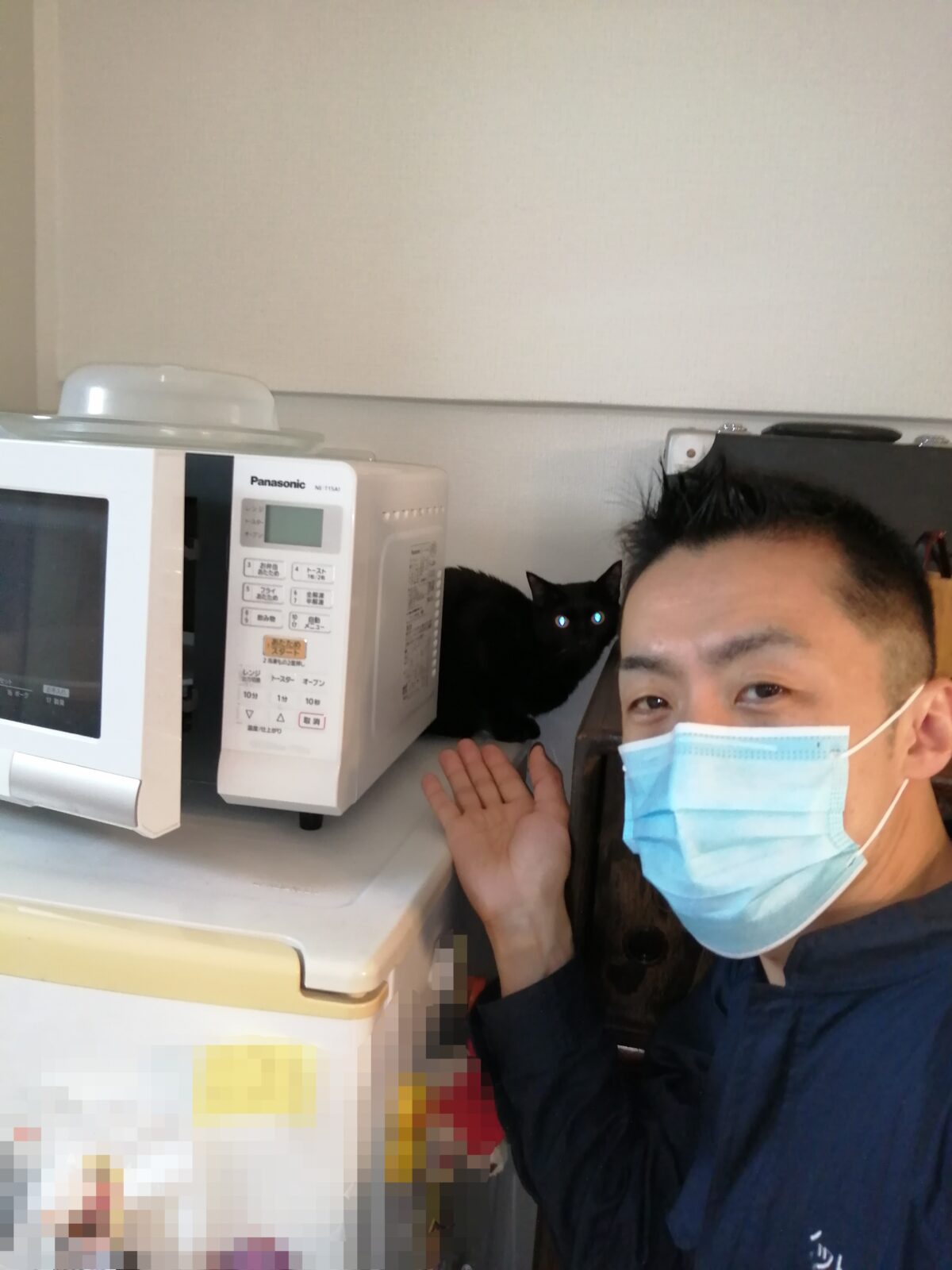 中野区 ご新規お客様 双子ニャンコちゃん お世話報告