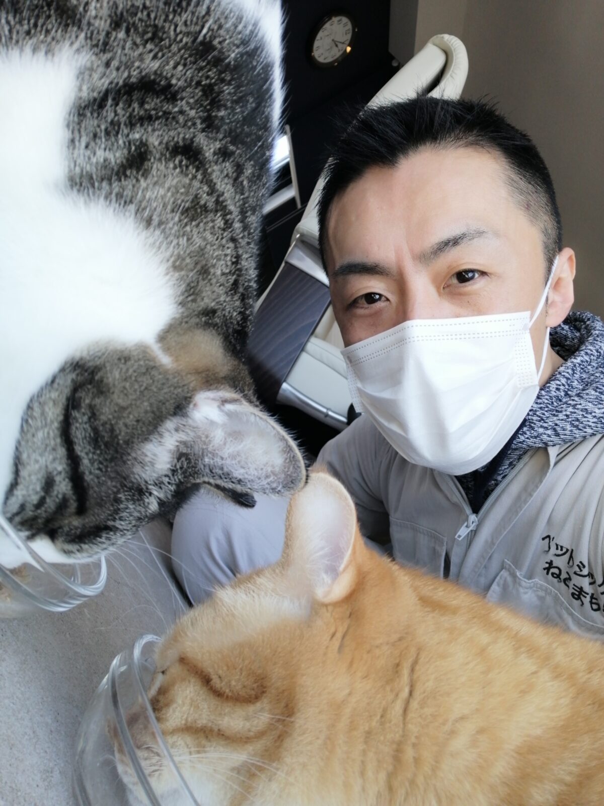 新宿区 お得意様 仲良しニャンくん お世話報告