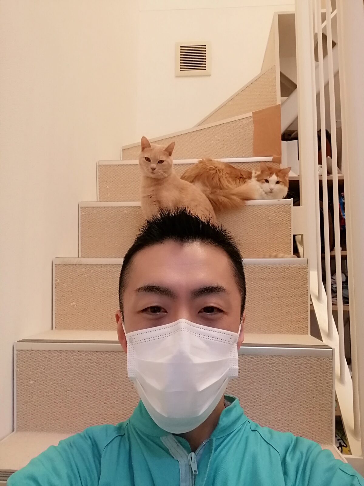 新宿区 お得意様 モフモフ＆パステルニャンちゃんお世話報告