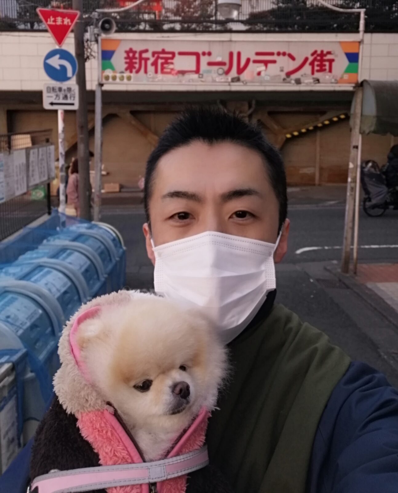 新宿区 お得意様 ポメラニアンちゃん お世話報告