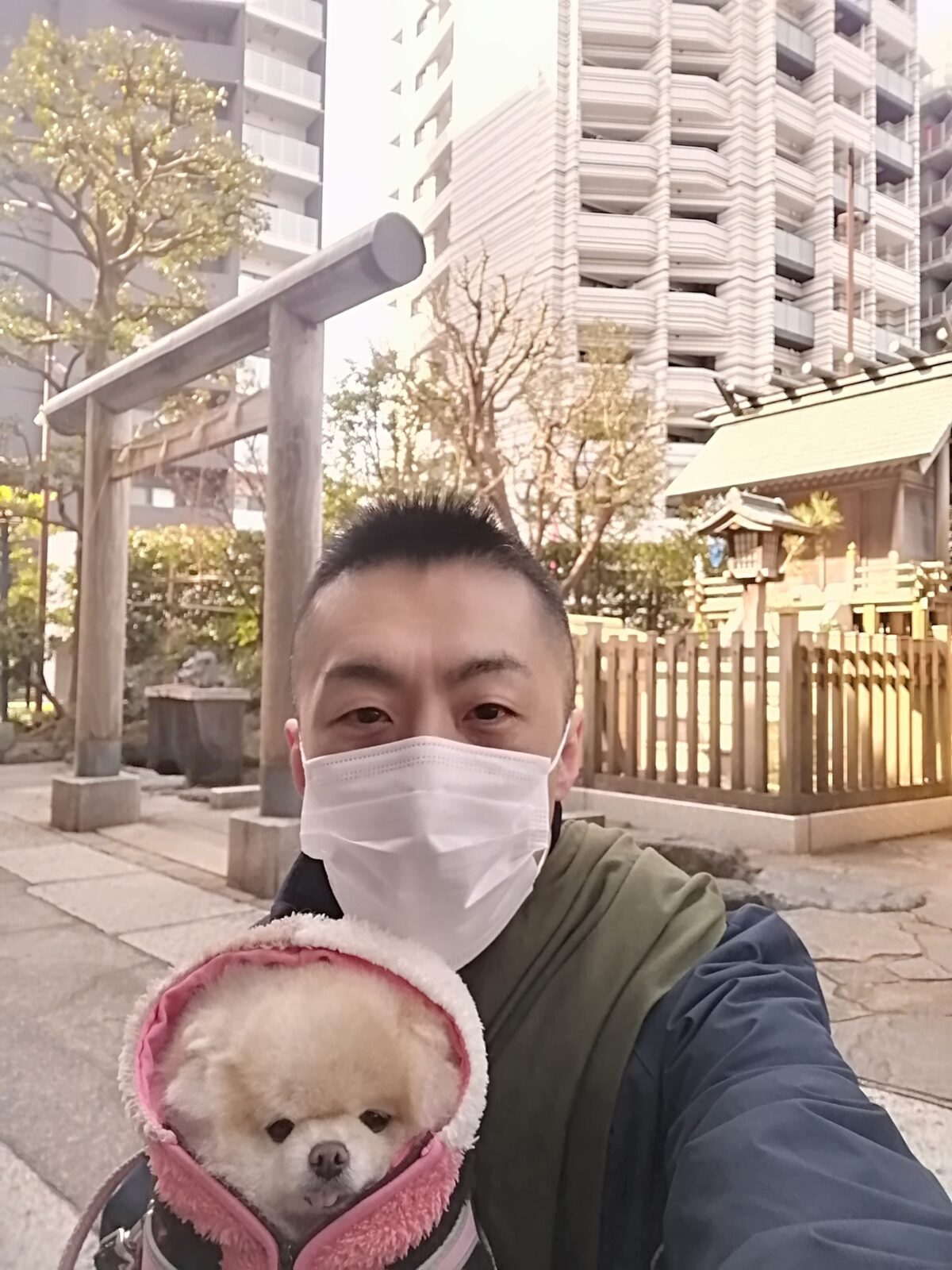 新宿区 お得意様 ポメちゃん お世話報告