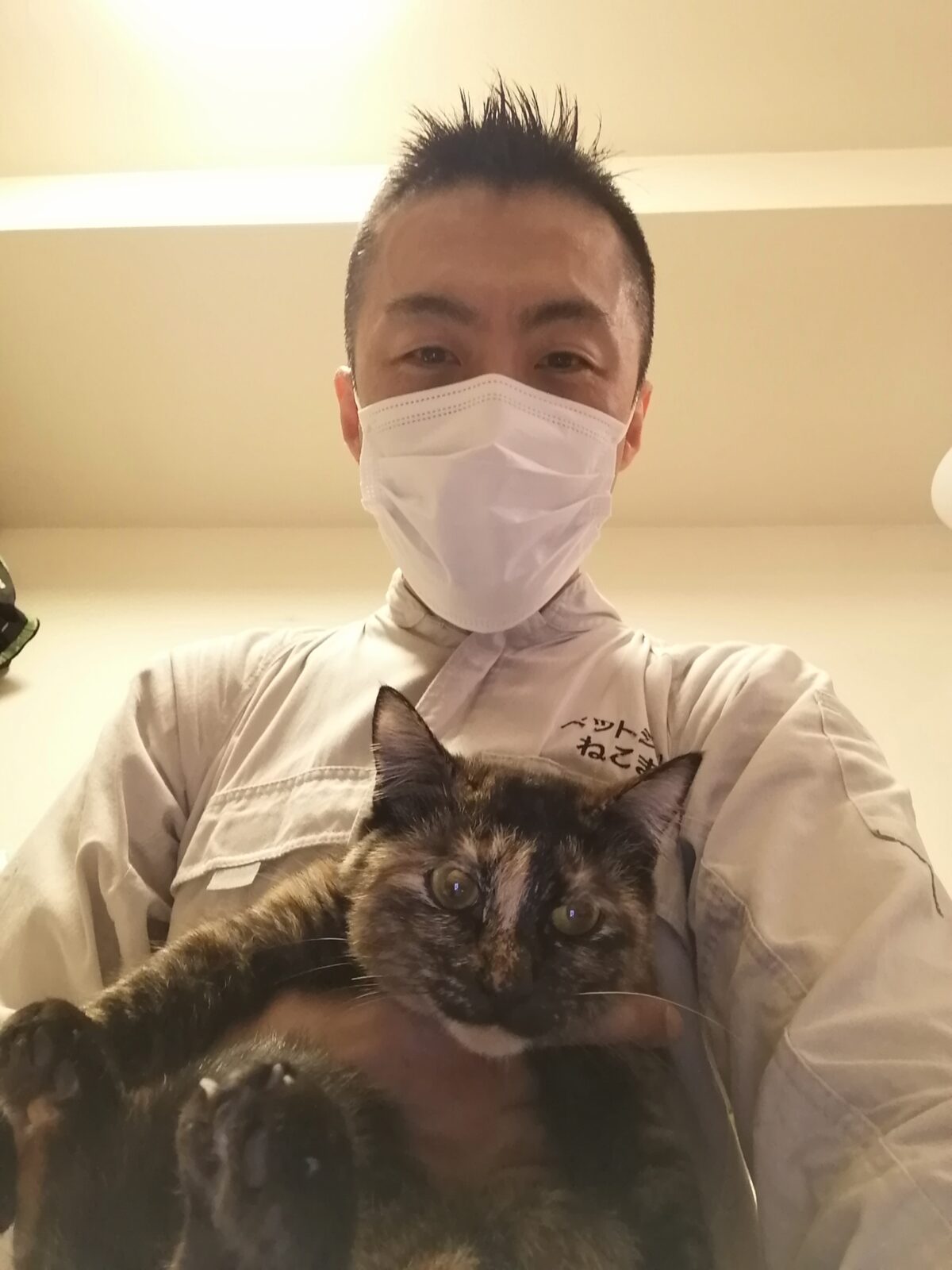 新宿区 お得意様 マーブル柄ニャンちゃん お世話報告