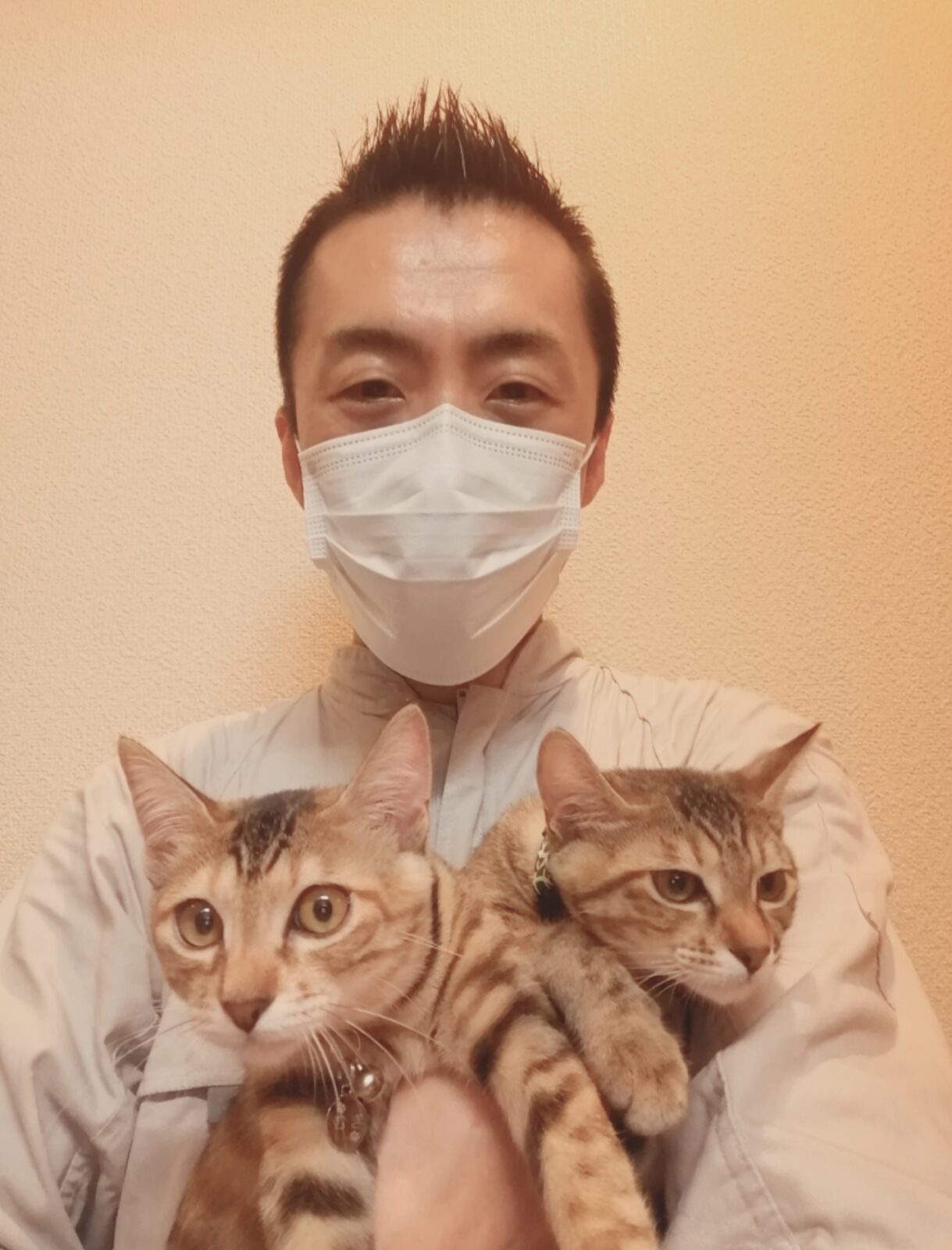 中野区 ご新規様 双子姉妹ニャンちゃん お世話報告