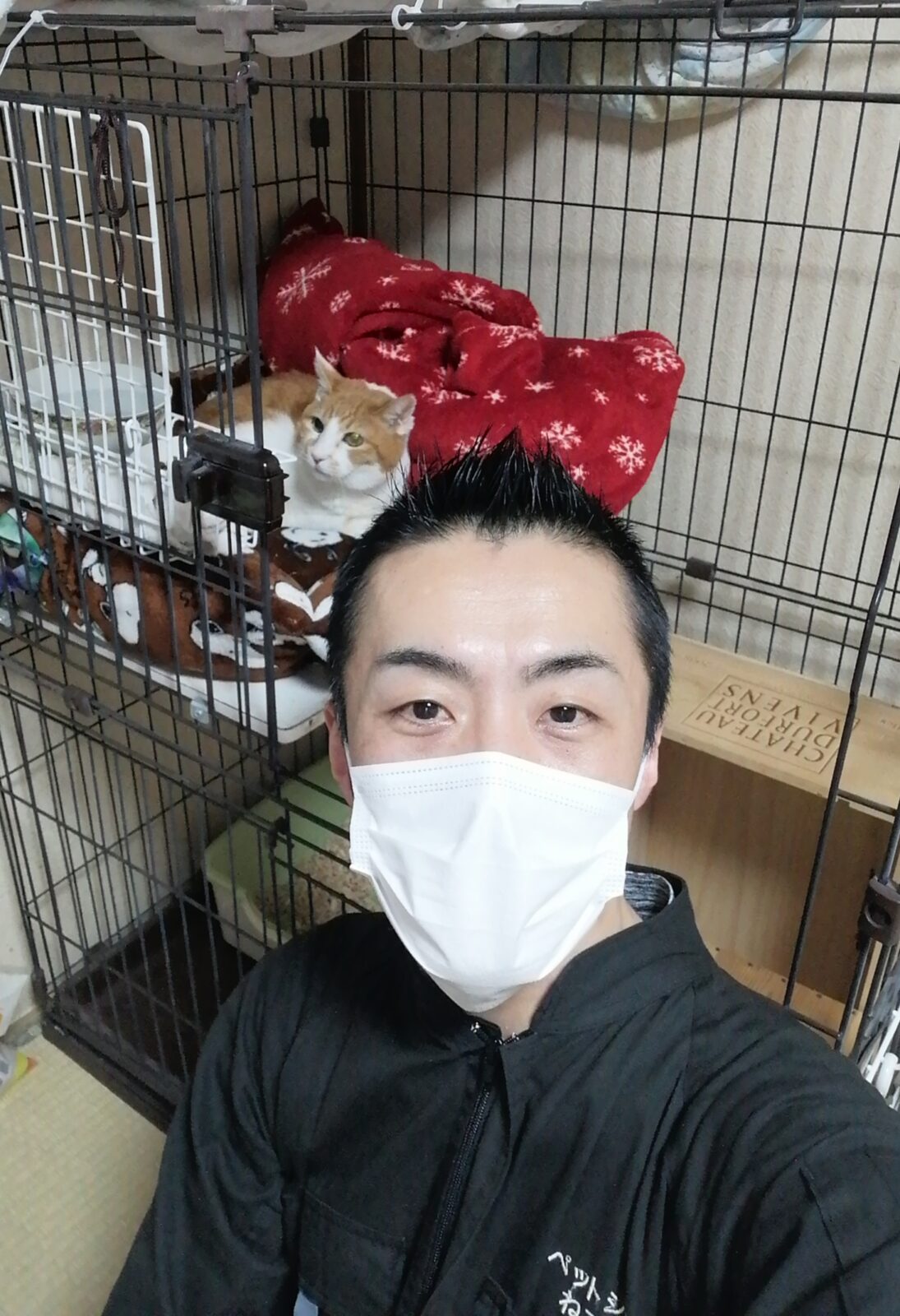 埼玉県ふじみ野市 ご新規様 3匹ニャンちゃん お世話報告