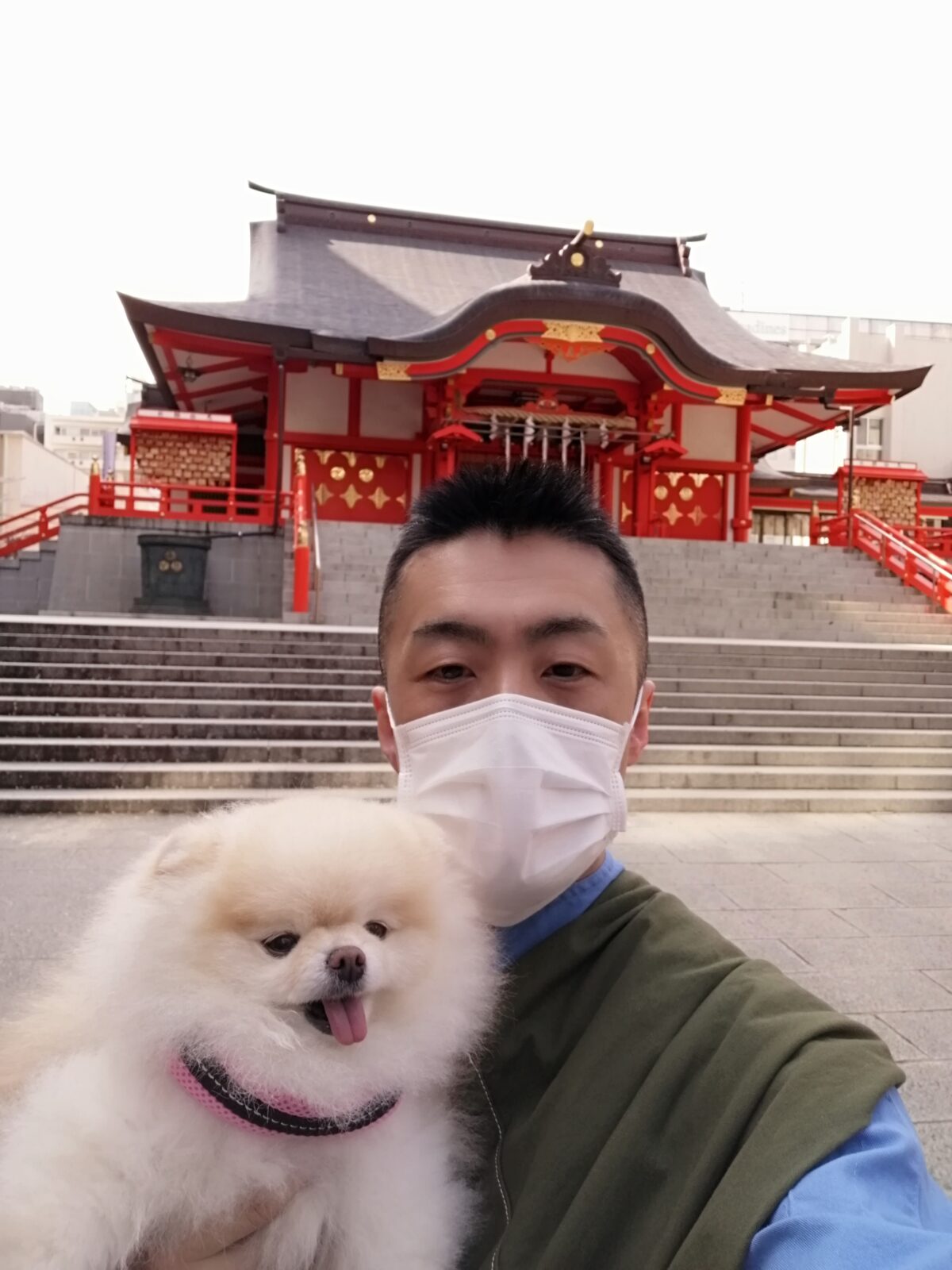 新宿区 お得意様 ポメちゃん お世話報告