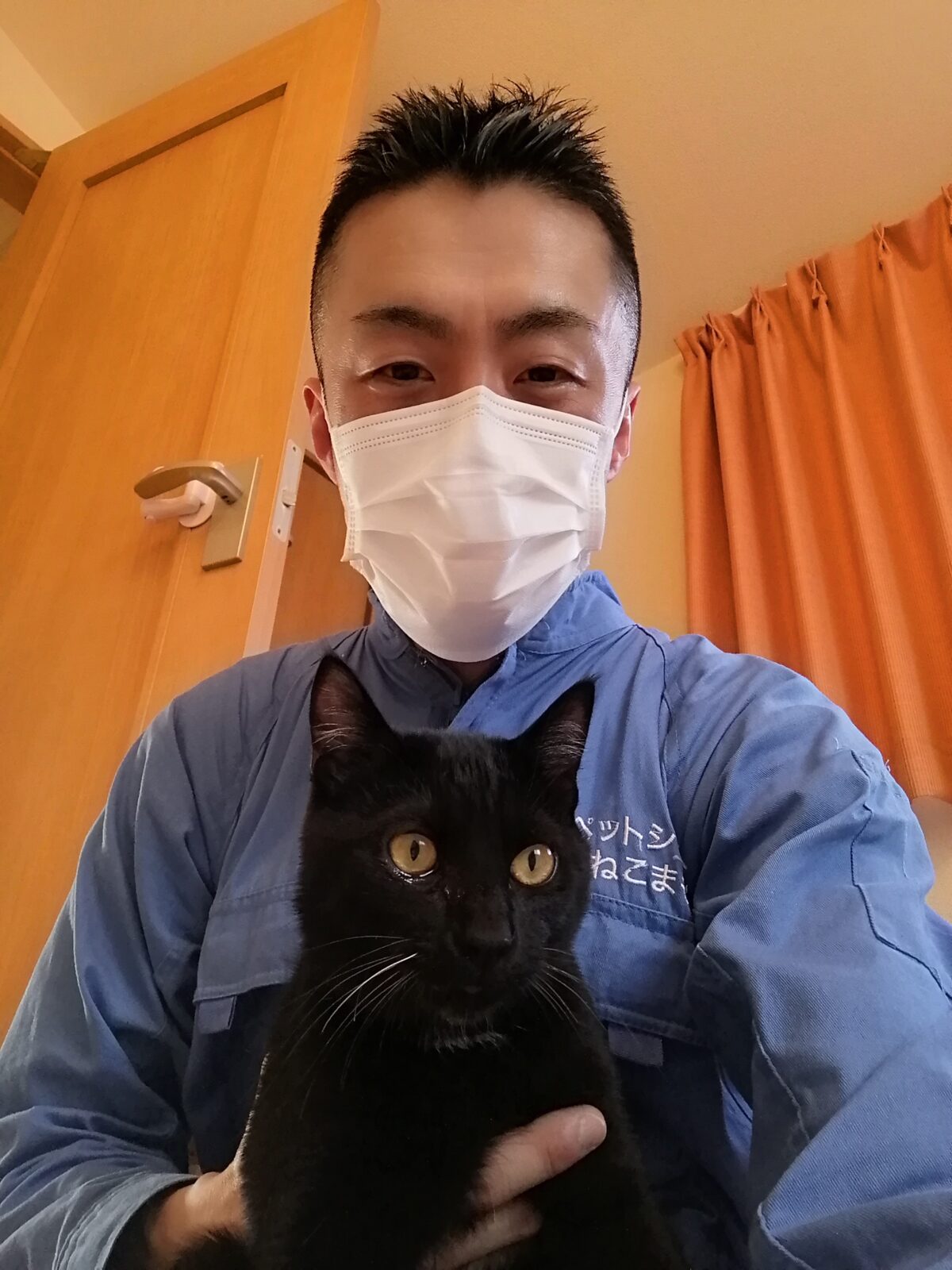 杉並区 お得意様 大きくなったニャンちゃん お世話報告