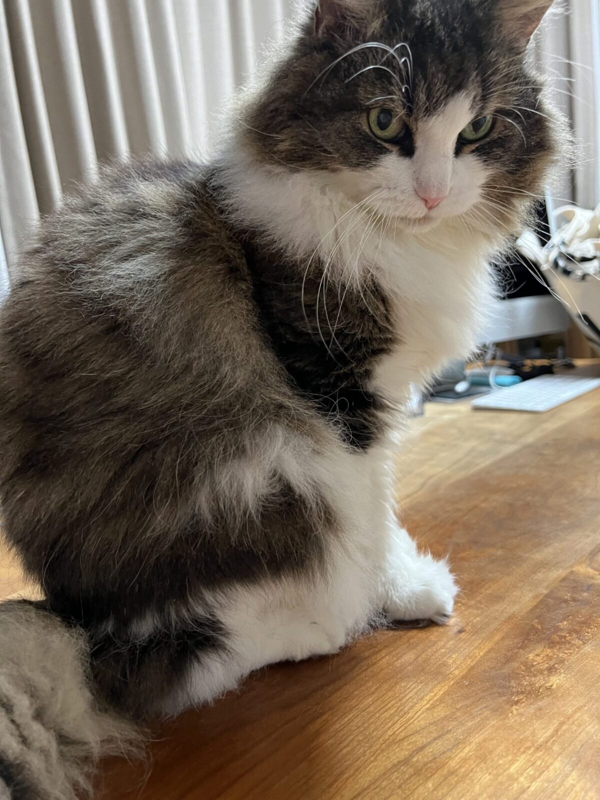 イブちゃん　ショートコースご利用♪