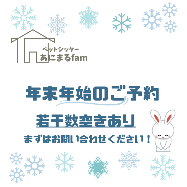 12月のペットシッターのご予約について【船橋・習志野エリア】